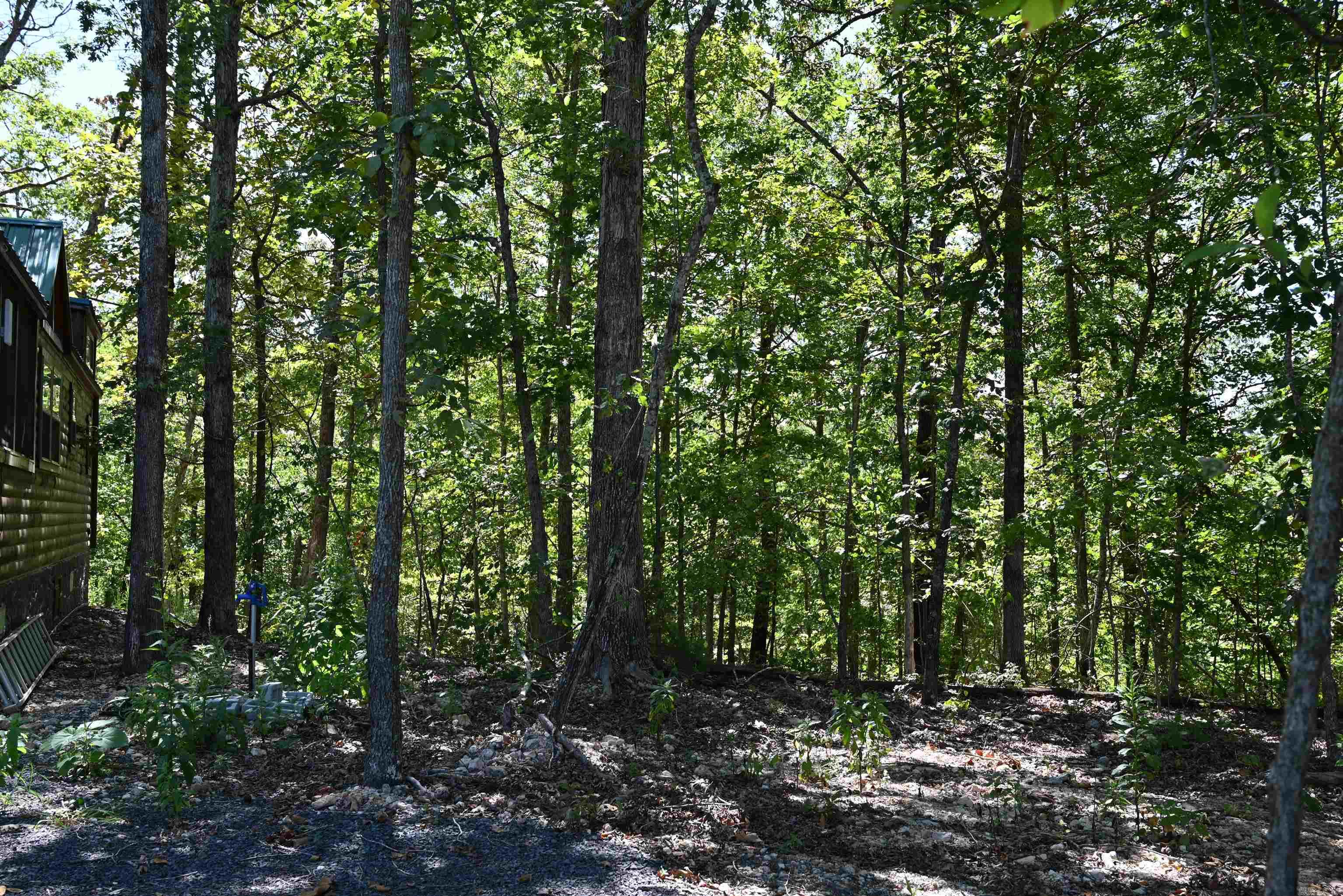 256 Fallen Tree  Marshall, AR