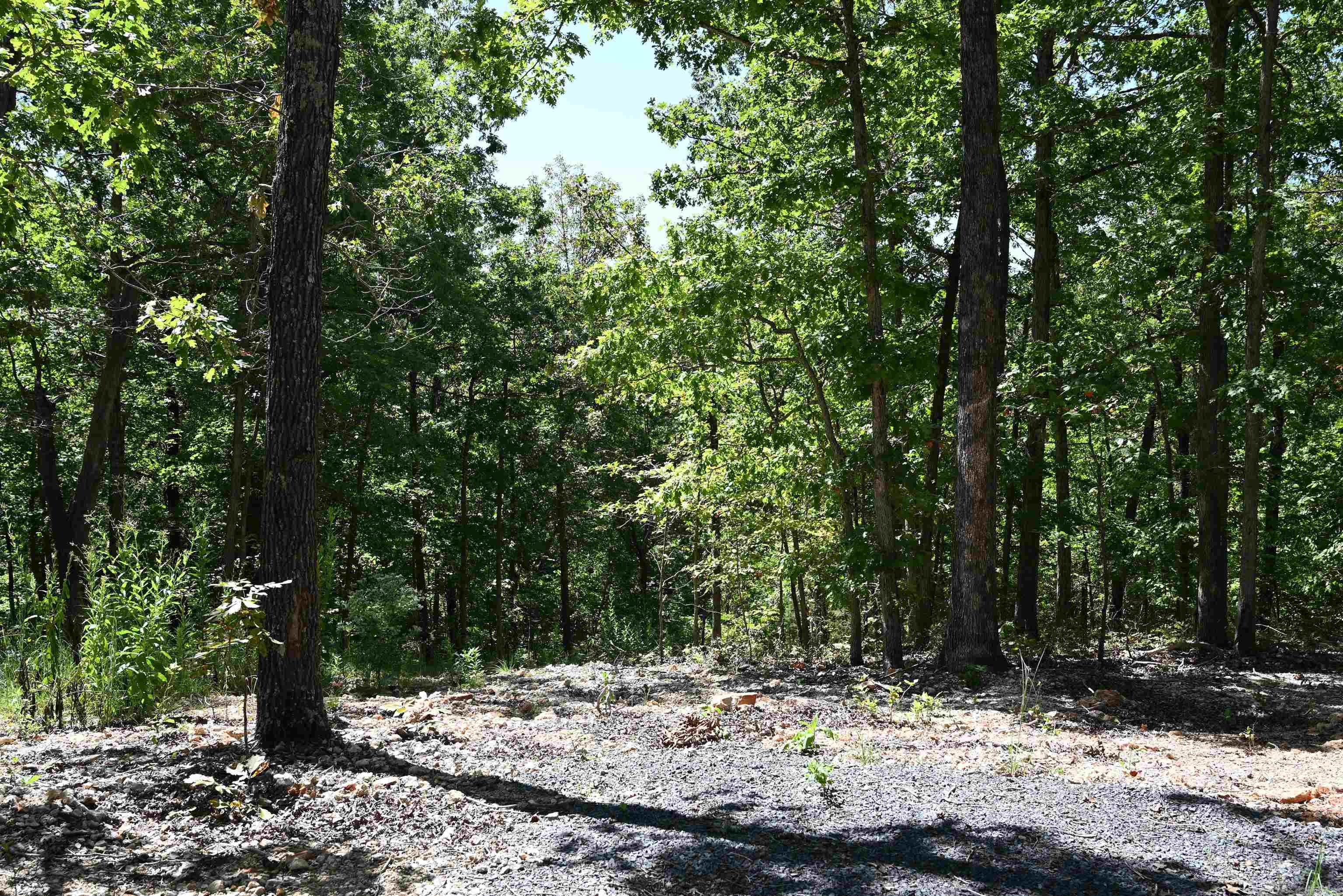 256 Fallen Tree  Marshall, AR