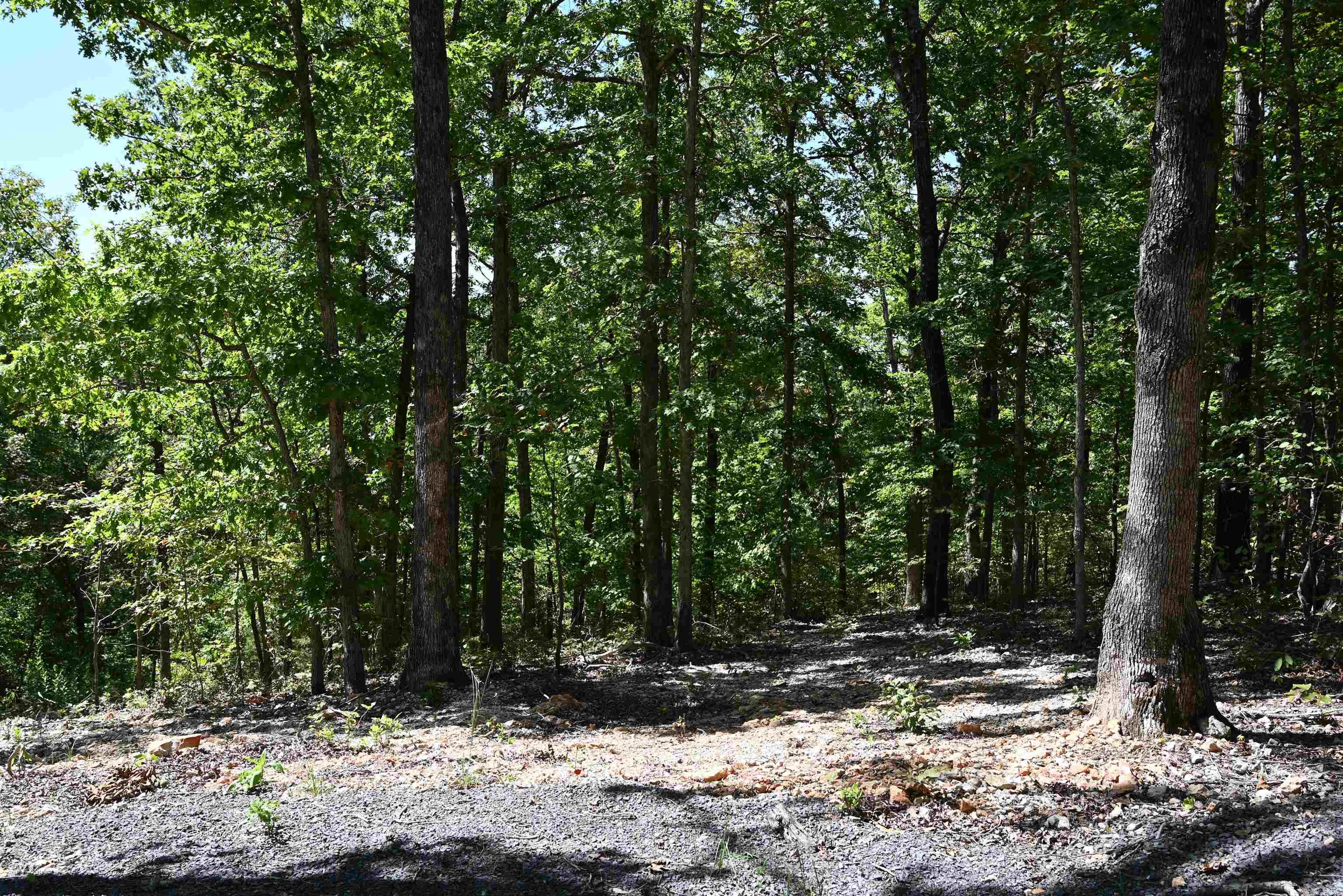 256 Fallen Tree  Marshall, AR