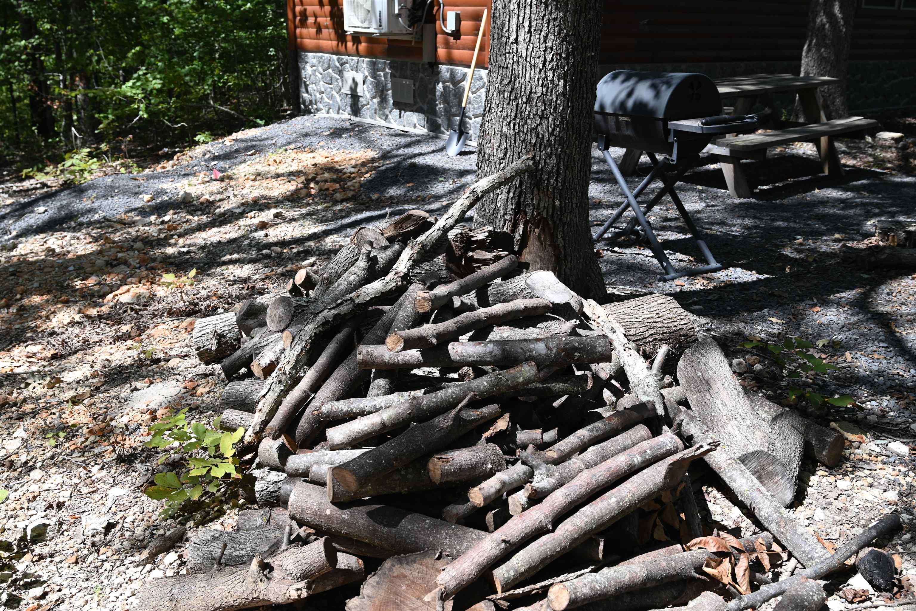 256 Fallen Tree  Marshall, AR