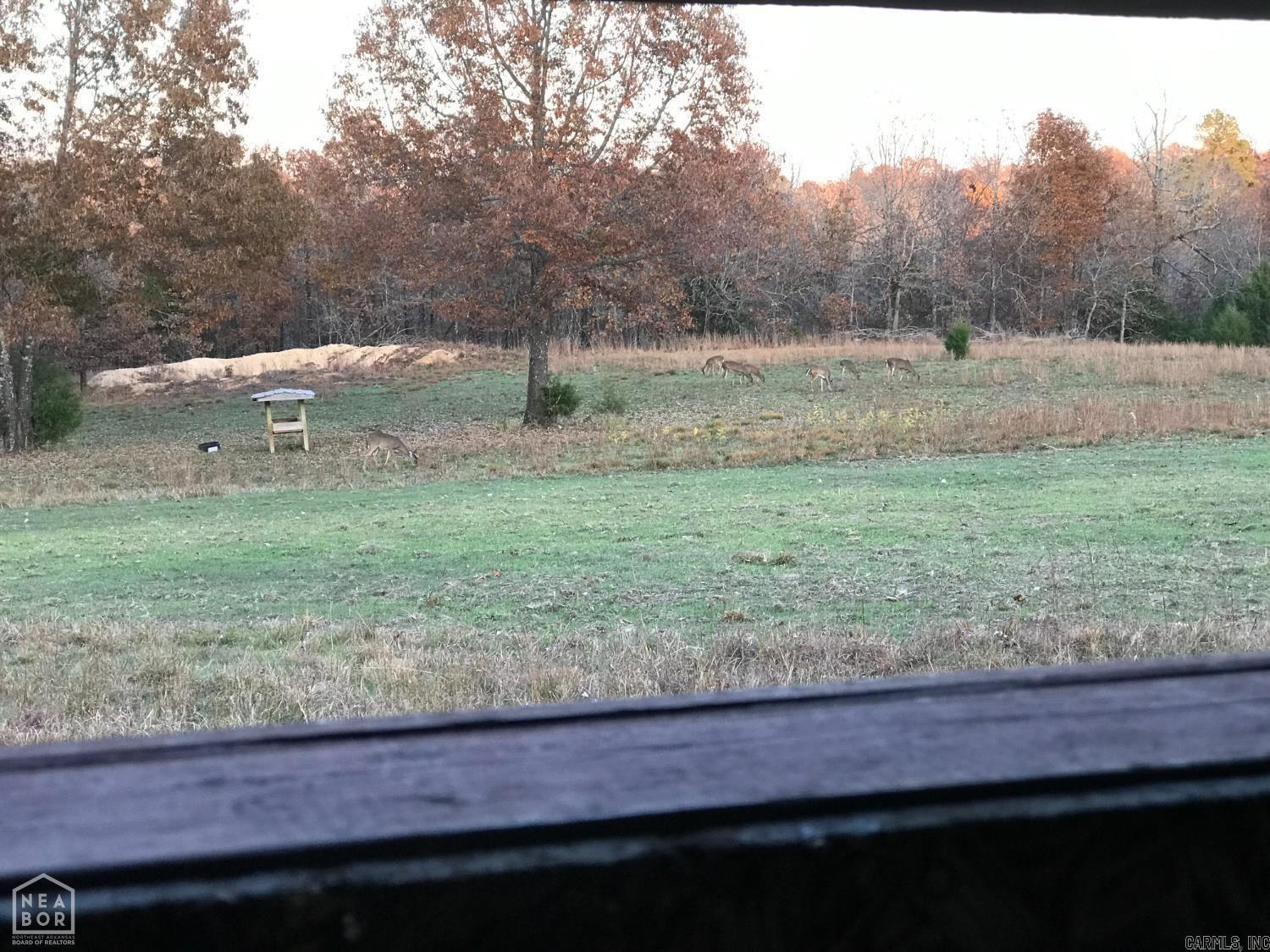 47 Sturkie  Salem, AR