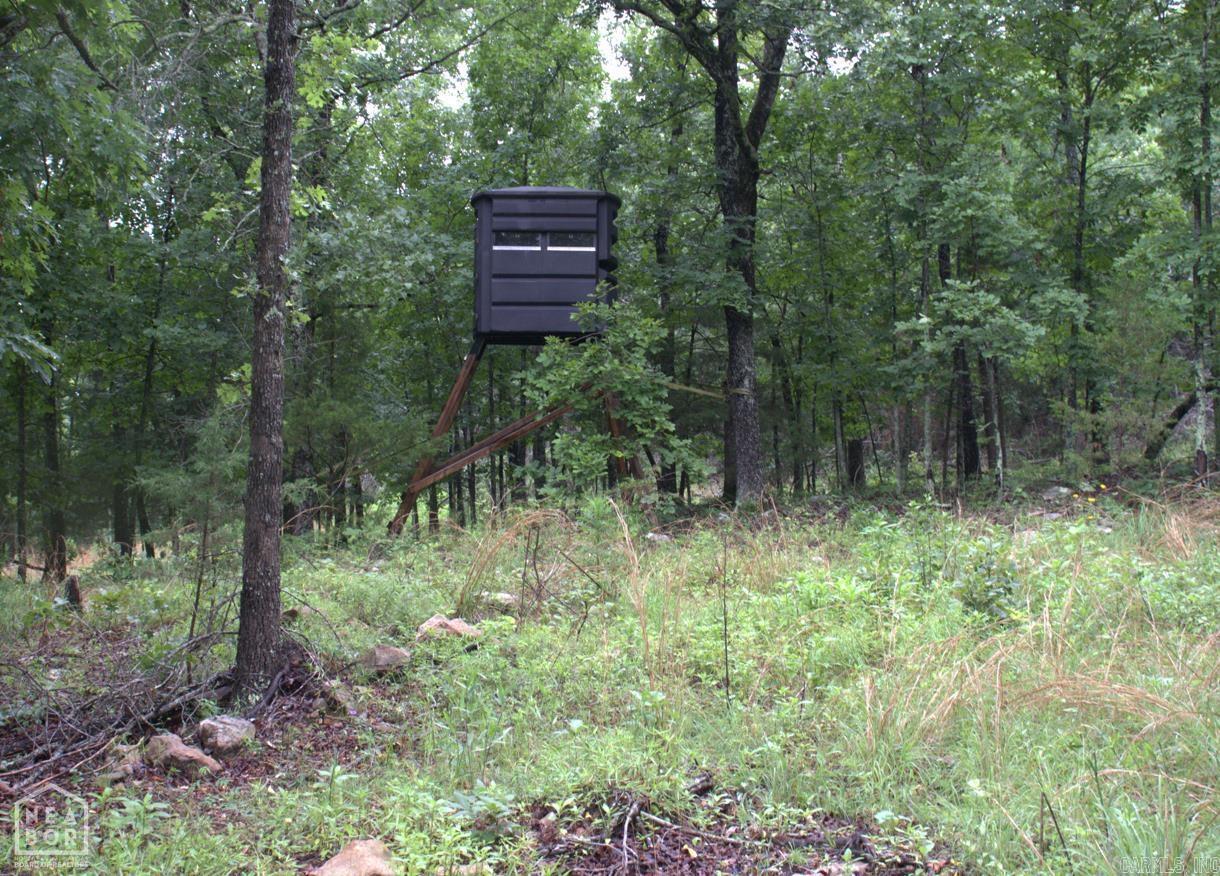 47 Sturkie  Salem, AR