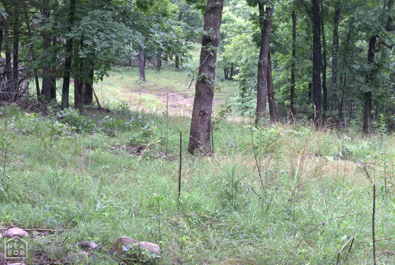 47 Sturkie  Salem, AR