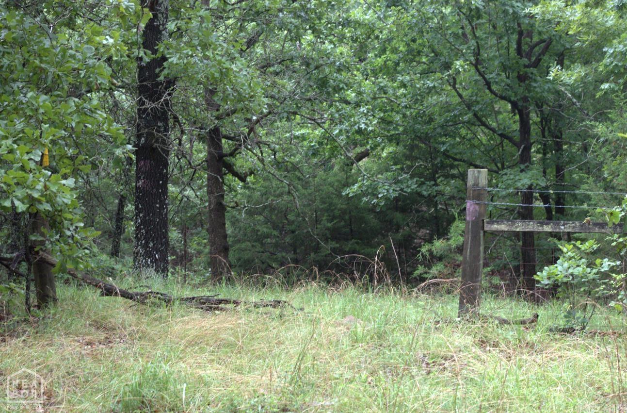 47 Sturkie  Salem, AR