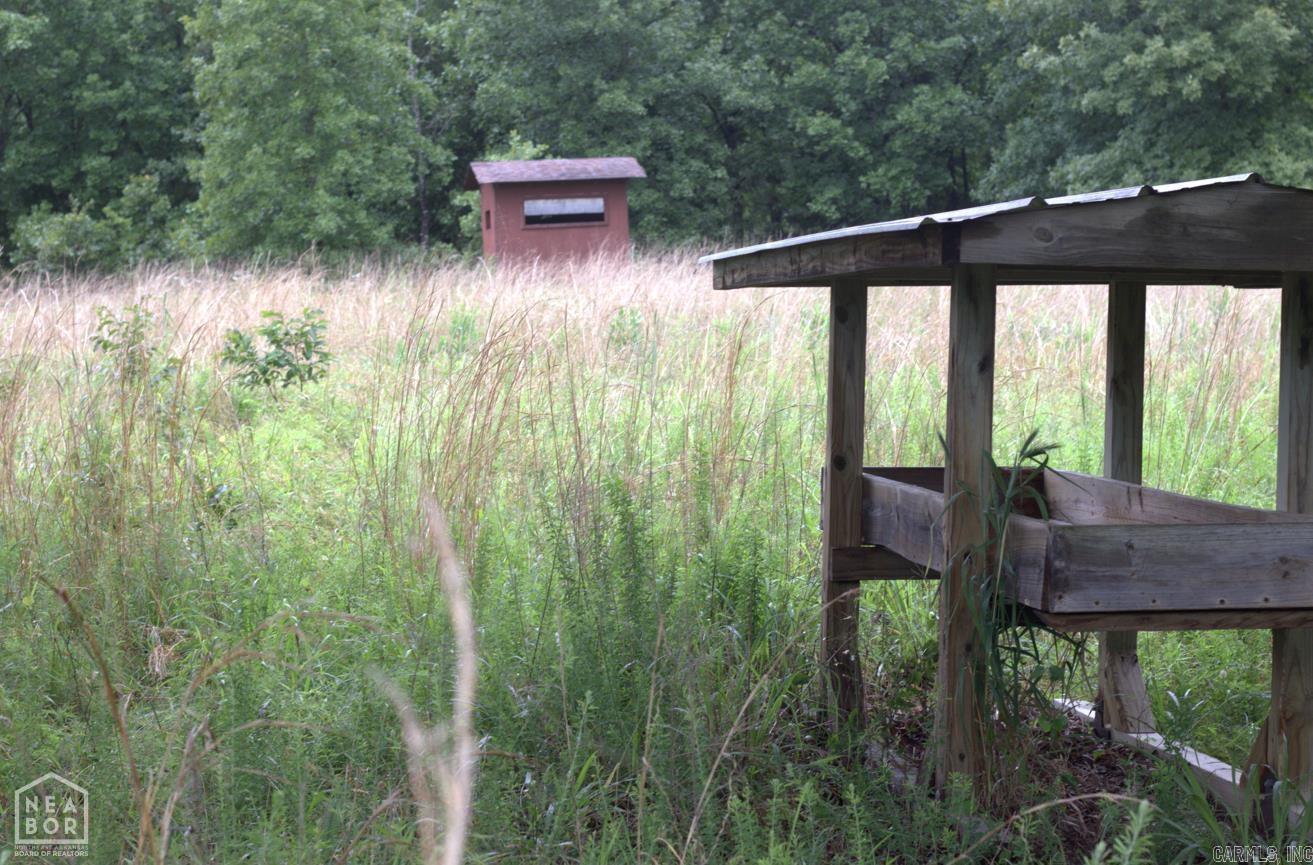 47 Sturkie  Salem, AR