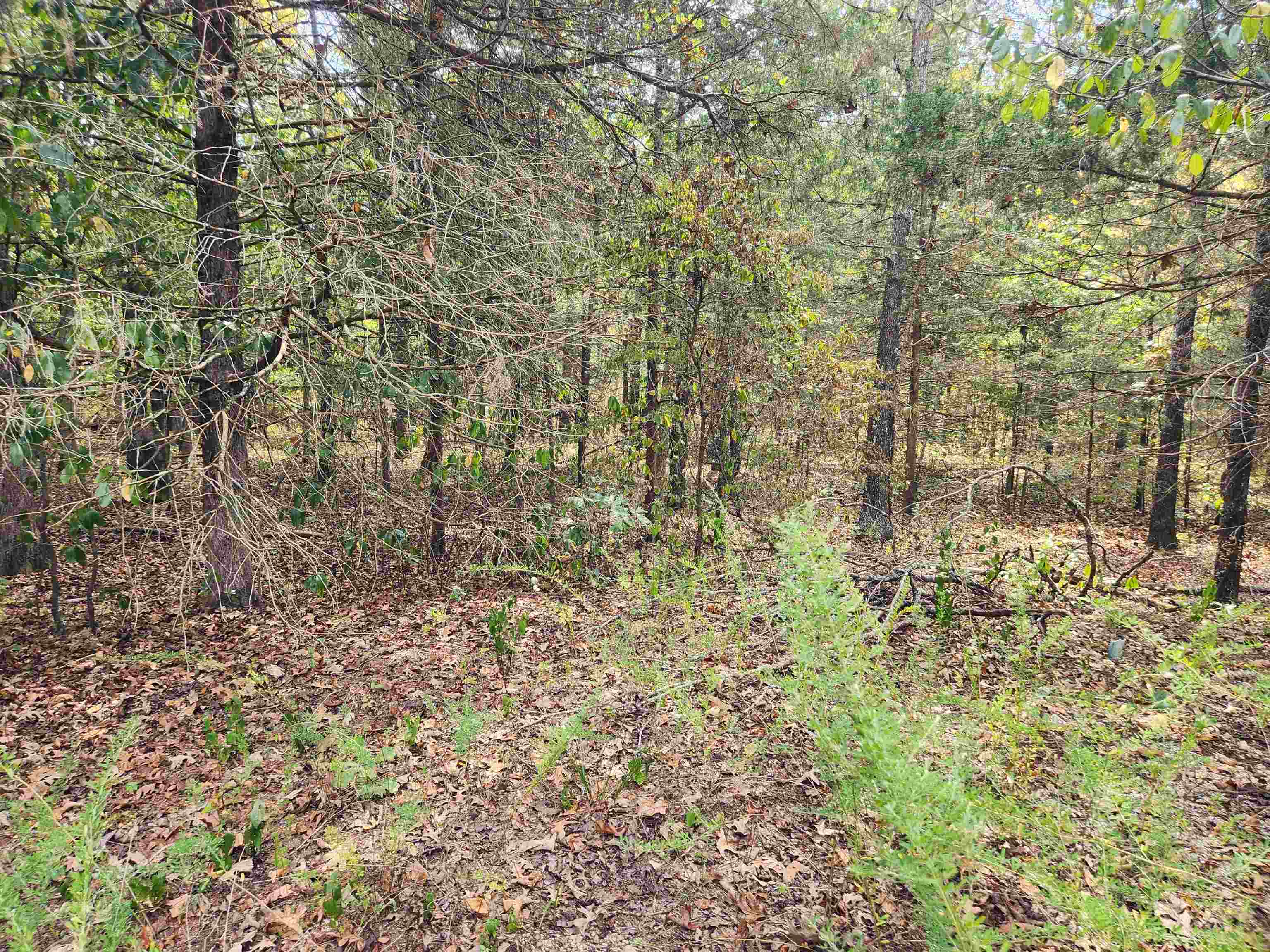 L24B3 Bokchito  Cherokee Village, AR