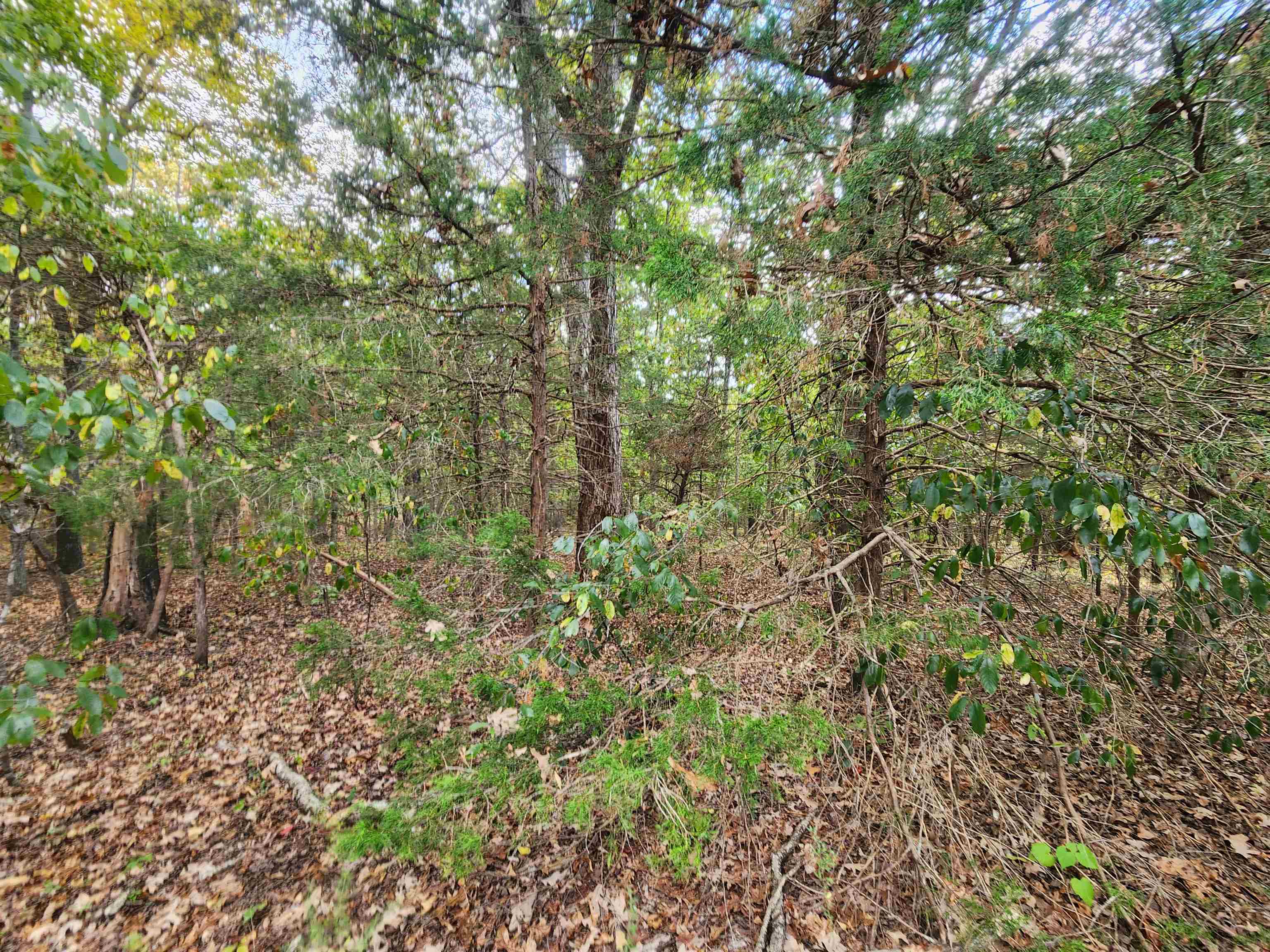 L24B3 Bokchito  Cherokee Village, AR