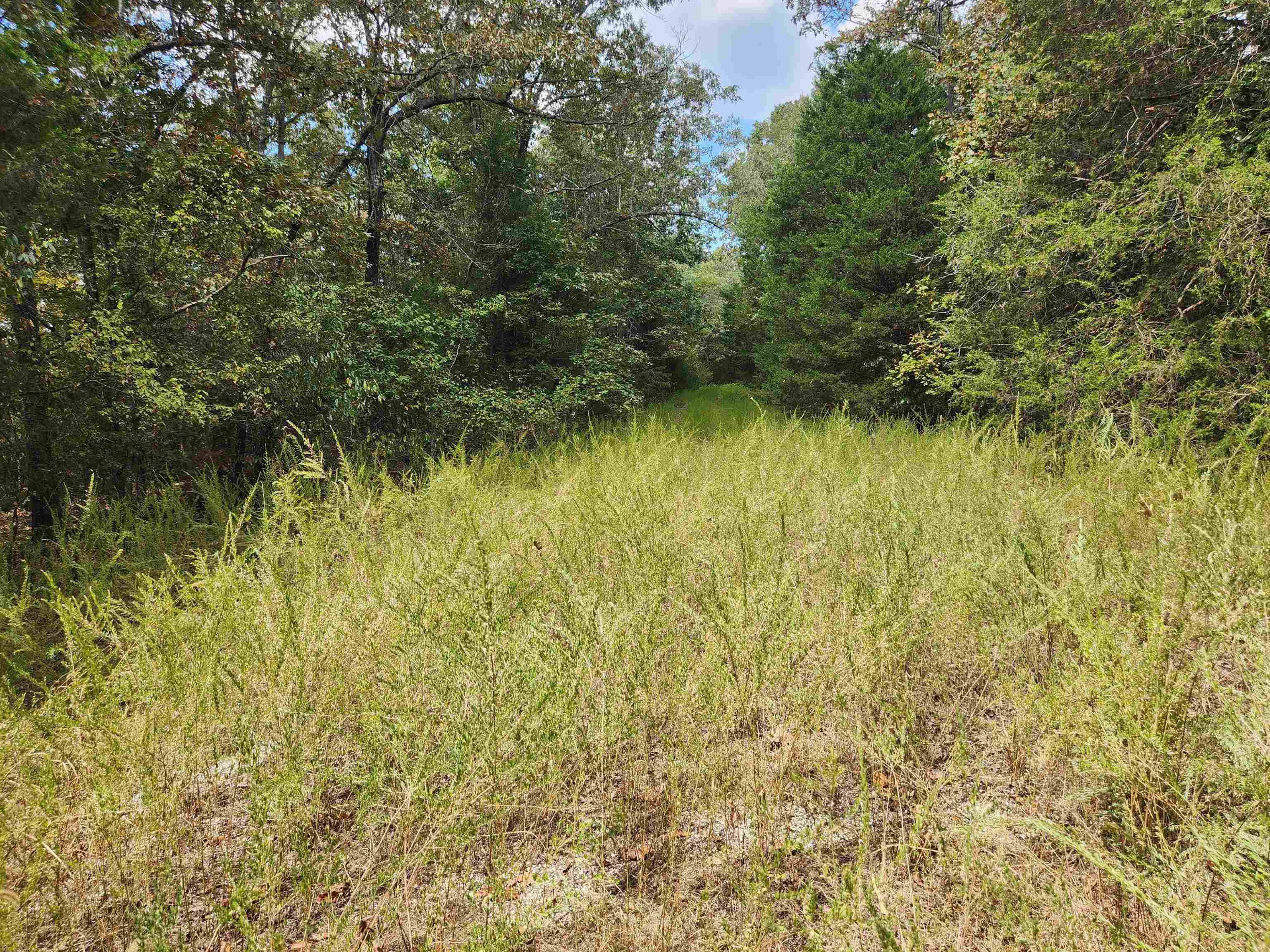 L24B3 Bokchito  Cherokee Village, AR