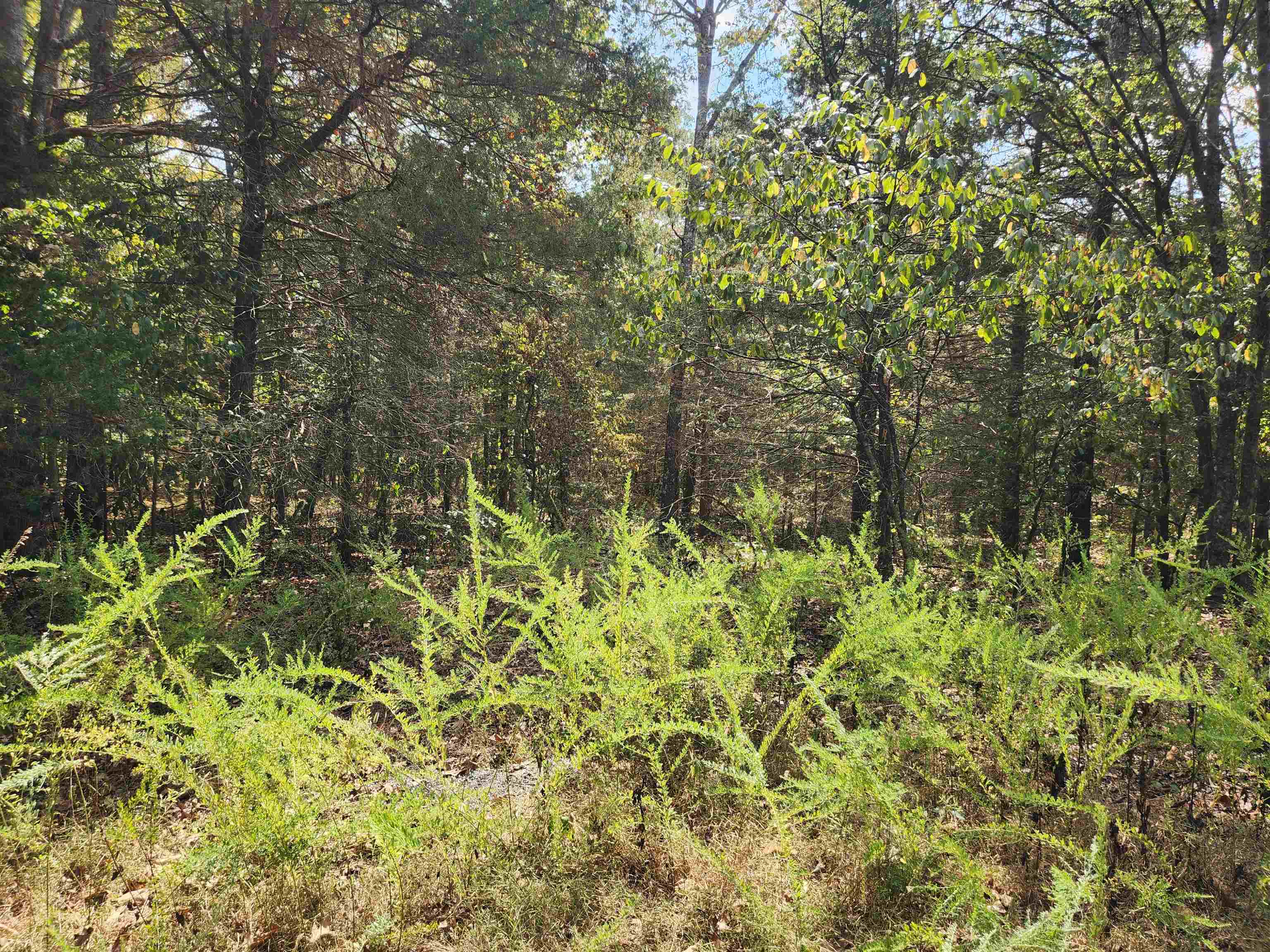 L24B3 Bokchito  Cherokee Village, AR