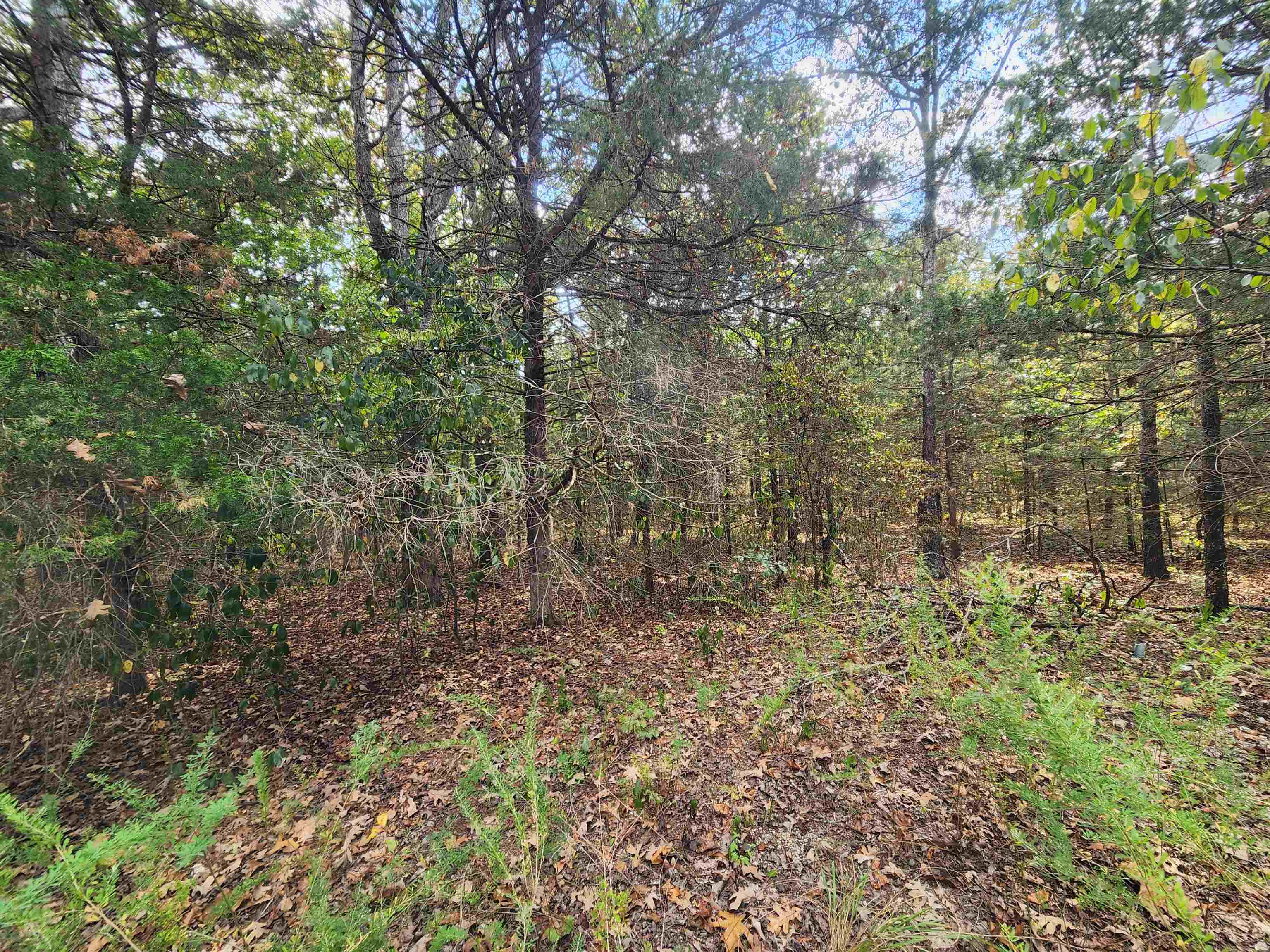 L24B3 Bokchito  Cherokee Village, AR