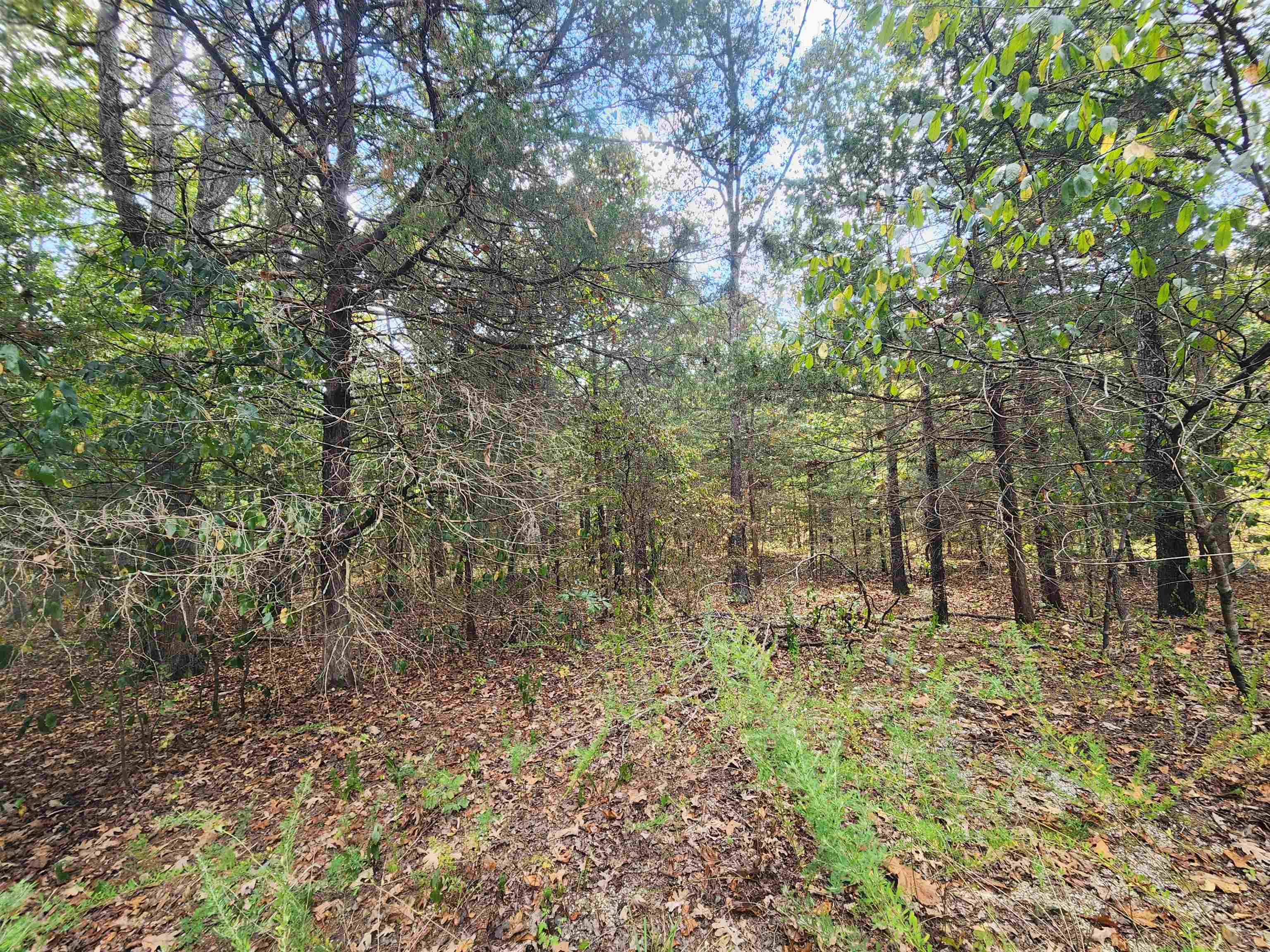 L24B3 Bokchito  Cherokee Village, AR