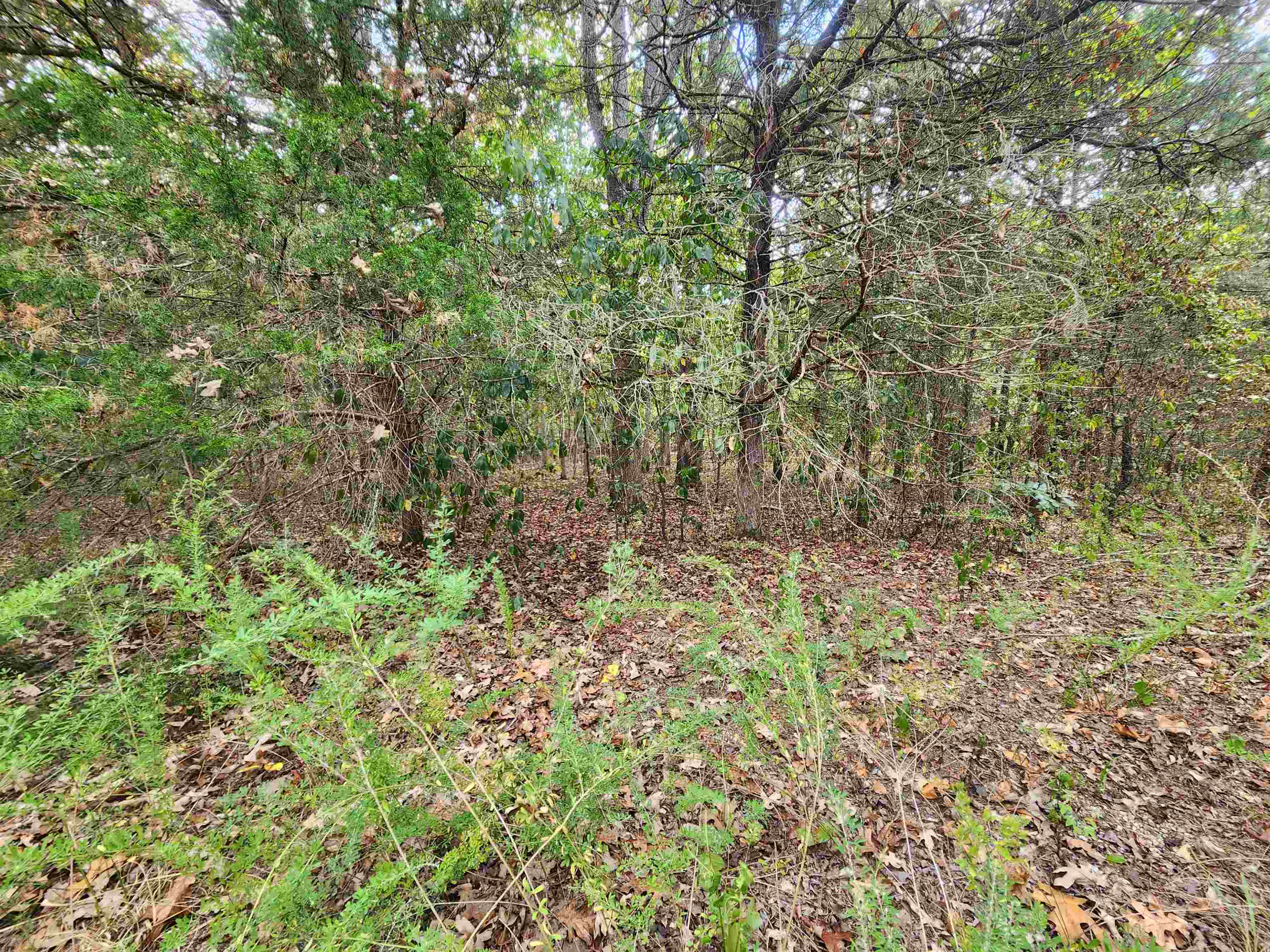 L24B3 Bokchito  Cherokee Village, AR