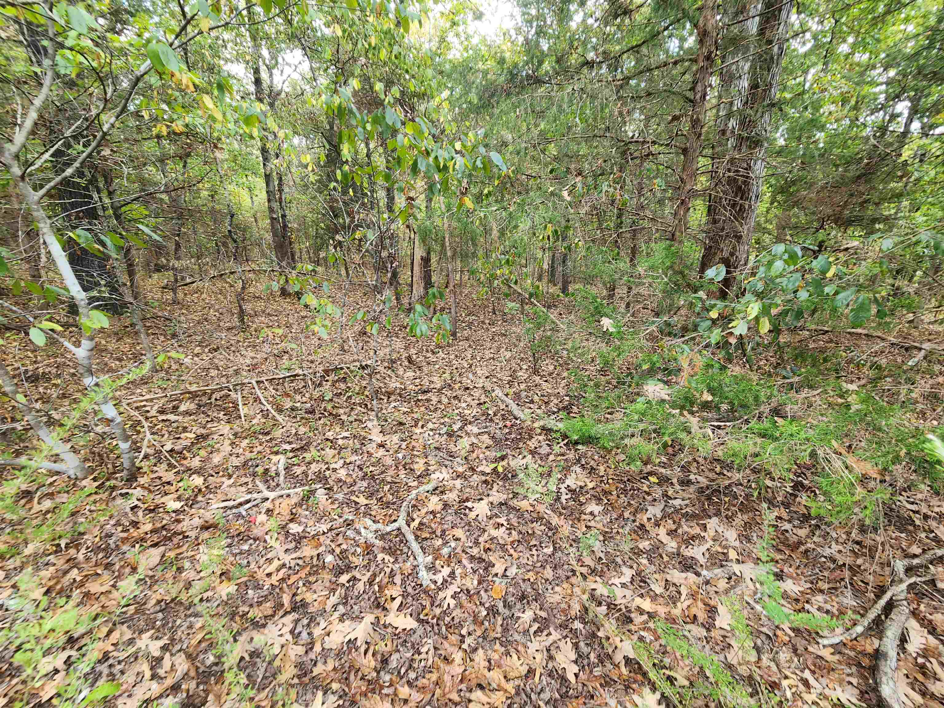 L24B3 Bokchito  Cherokee Village, AR