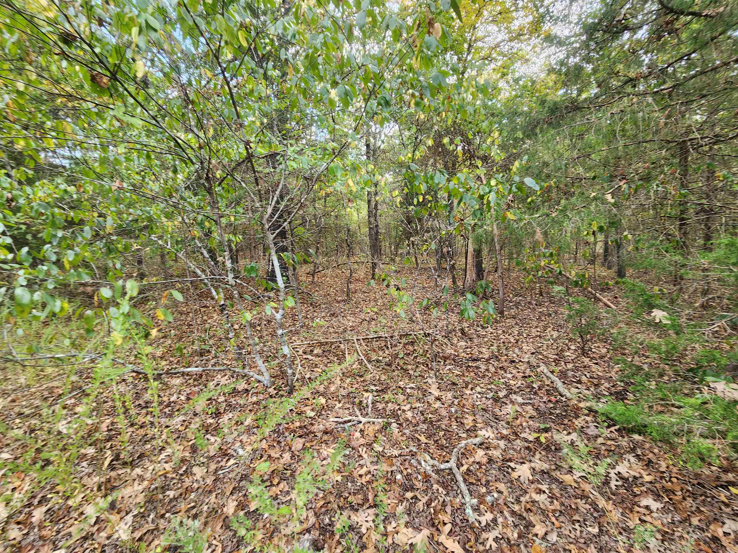 L24B3 Bokchito  Cherokee Village, AR