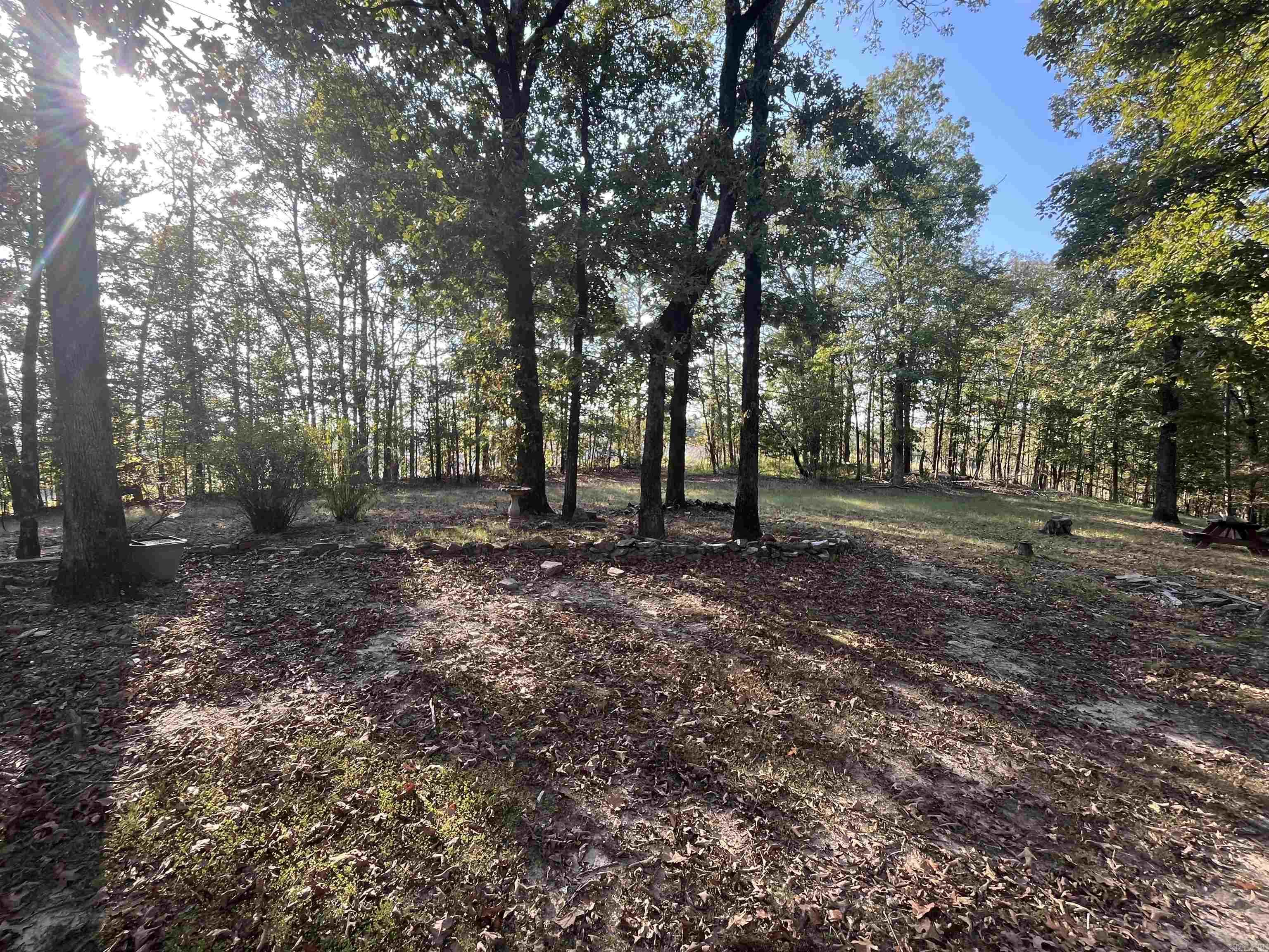 18708 Fawn Tree  Little Rock, AR