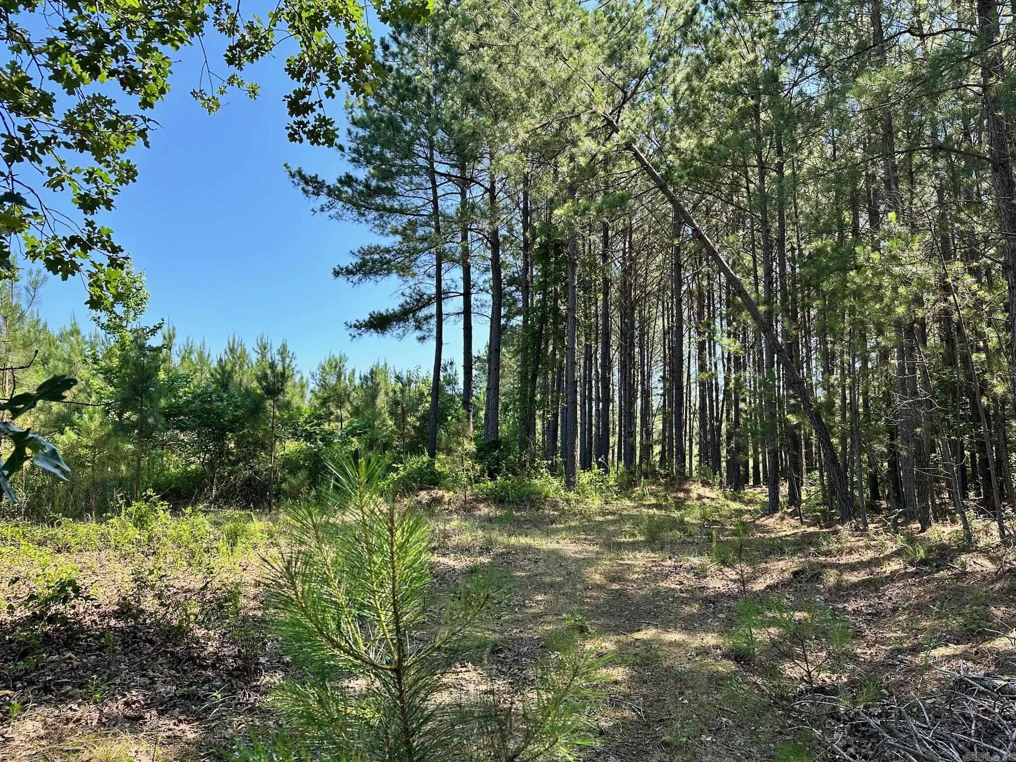 00 Caglesville  Russellville, AR