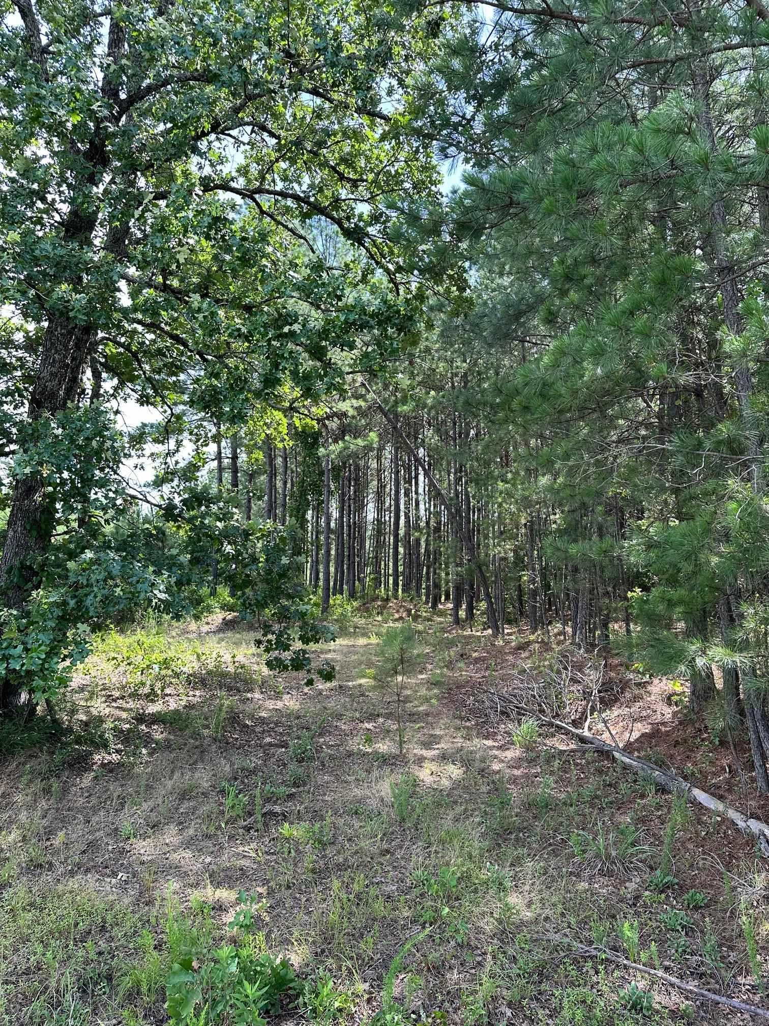 00 Caglesville  Russellville, AR