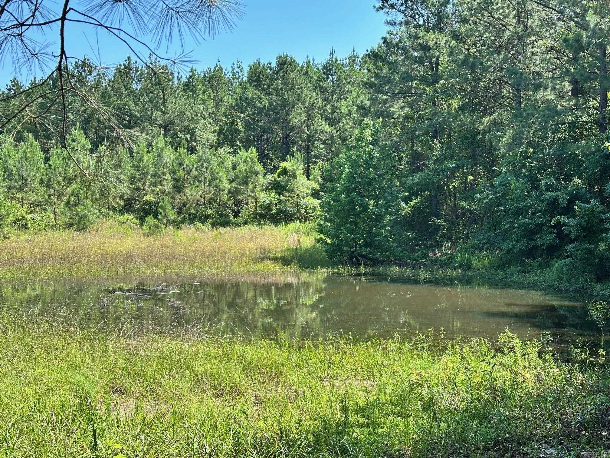 00 Caglesville  Russellville, AR