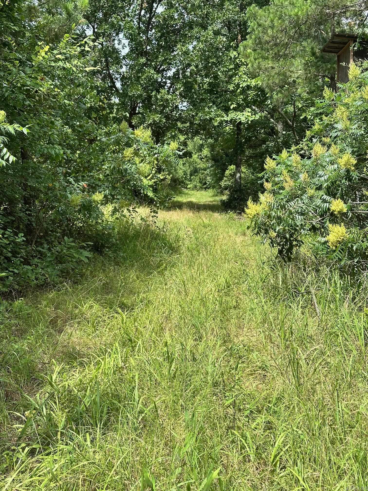 00 Caglesville  Russellville, AR