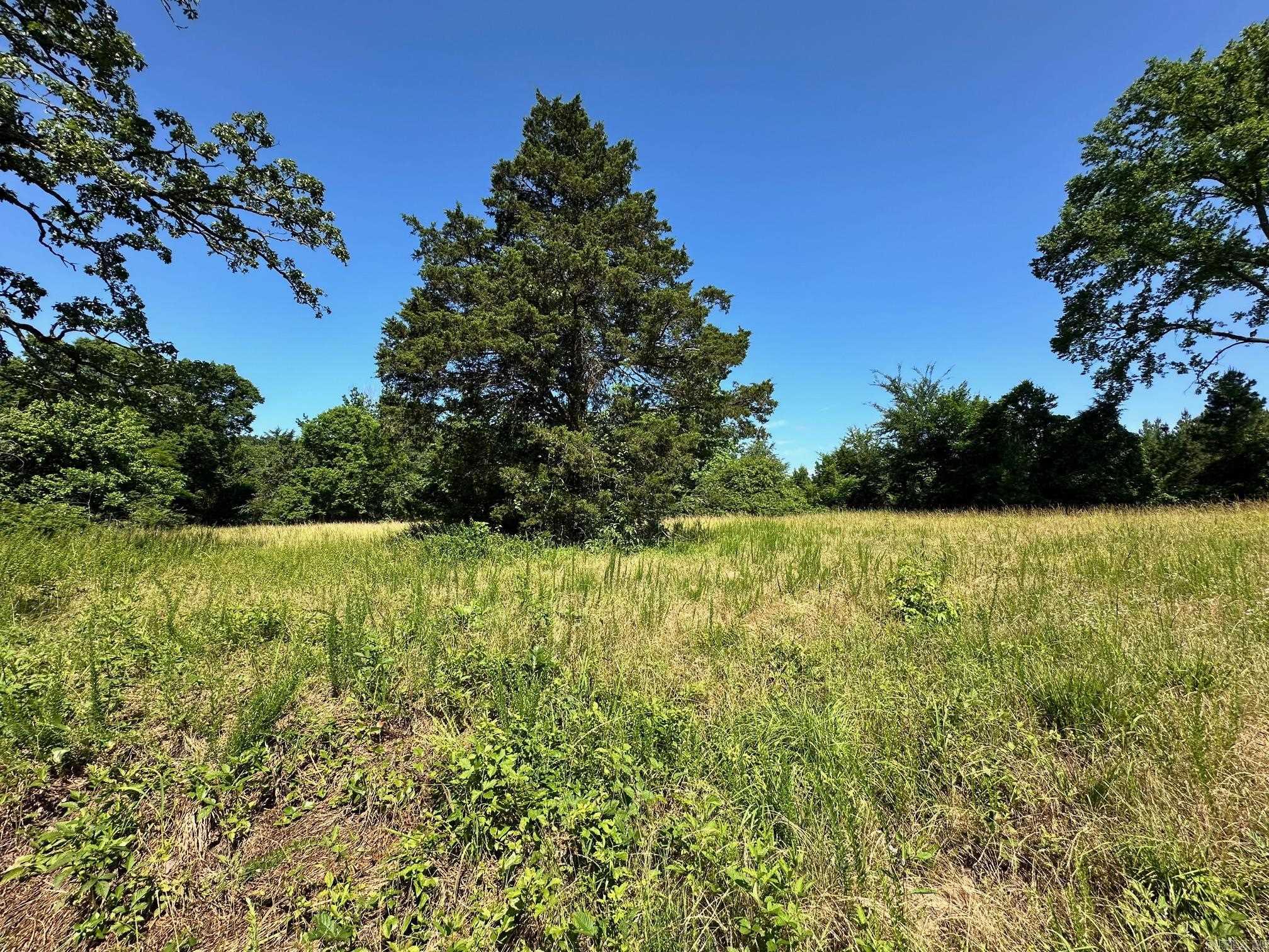 00 Caglesville  Russellville, AR