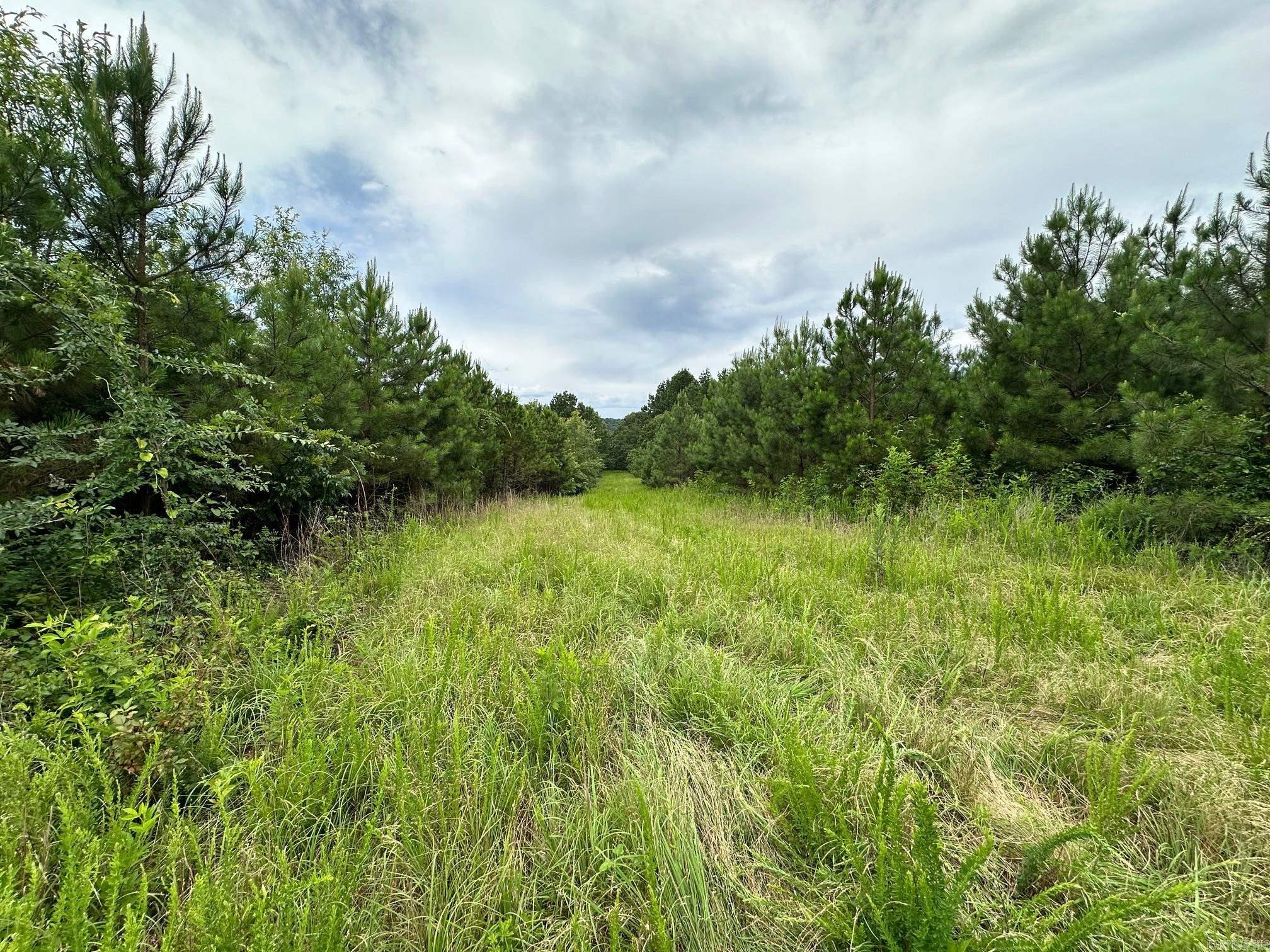00 Caglesville  Russellville, AR
