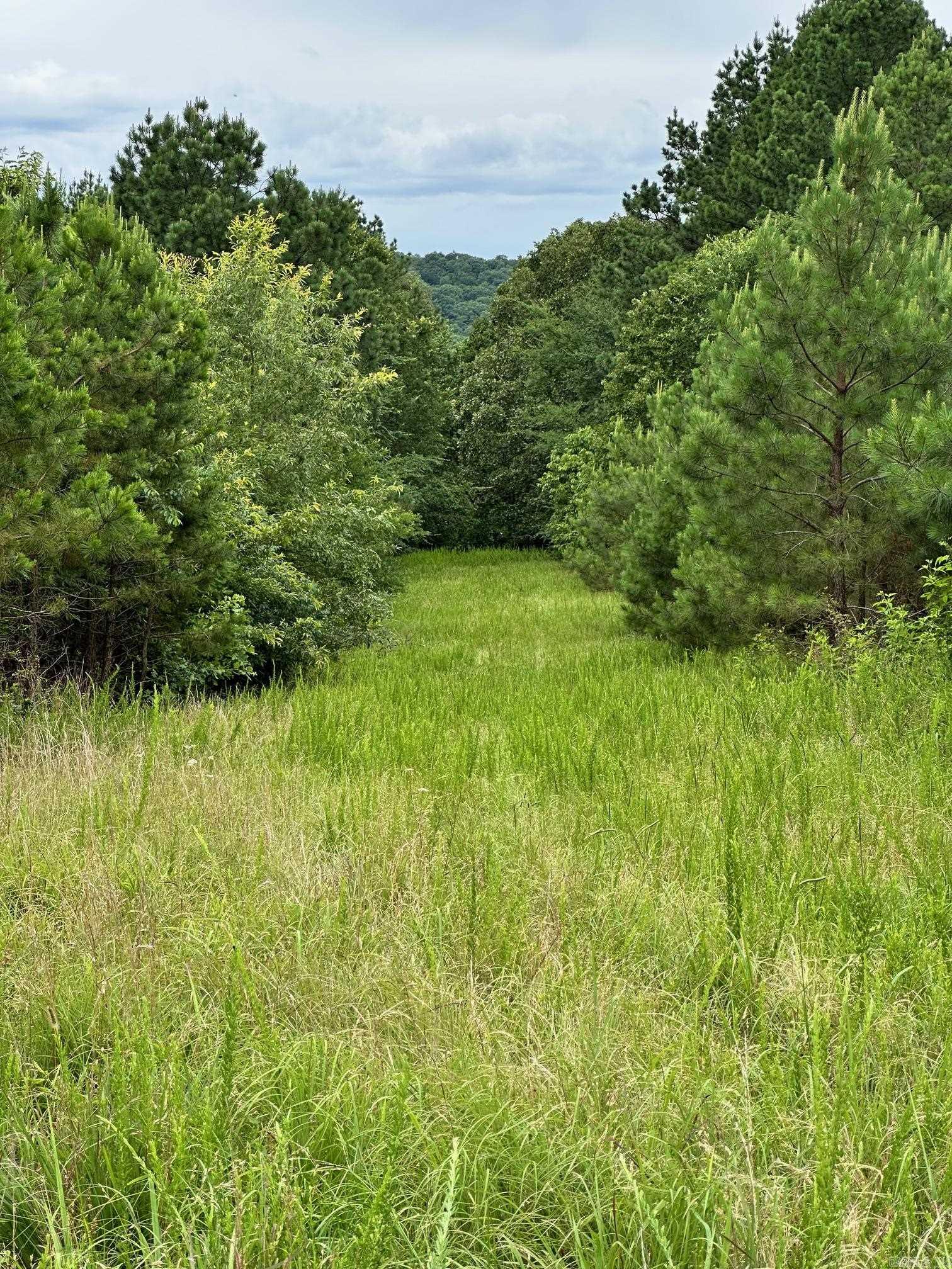 00 Caglesville  Russellville, AR