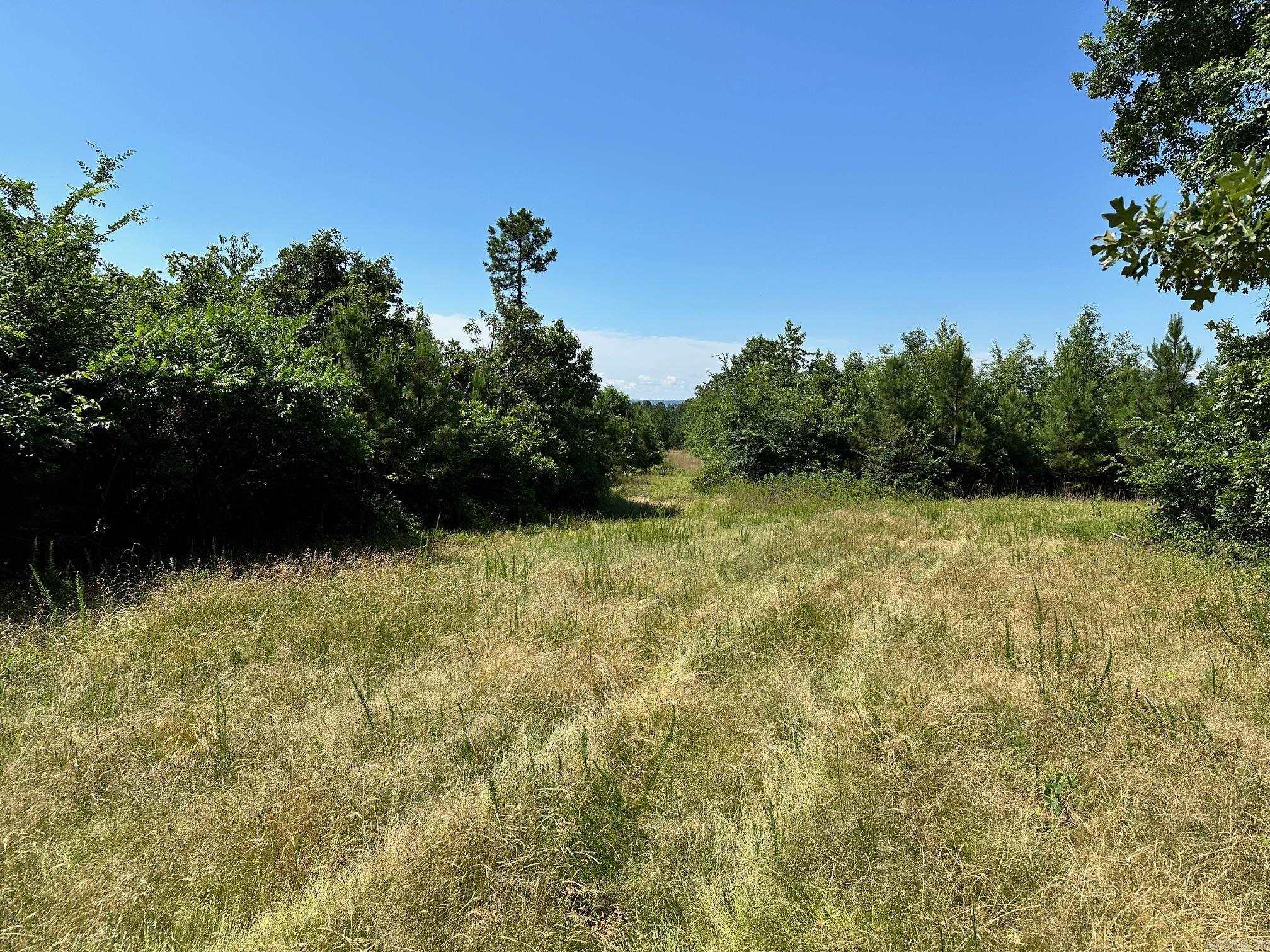 00 Caglesville  Russellville, AR