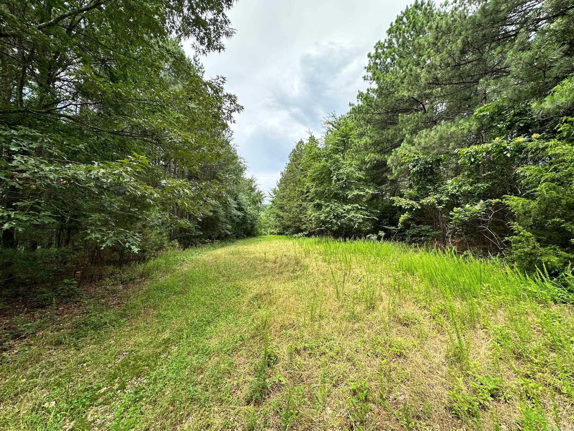 00 Caglesville  Russellville, AR