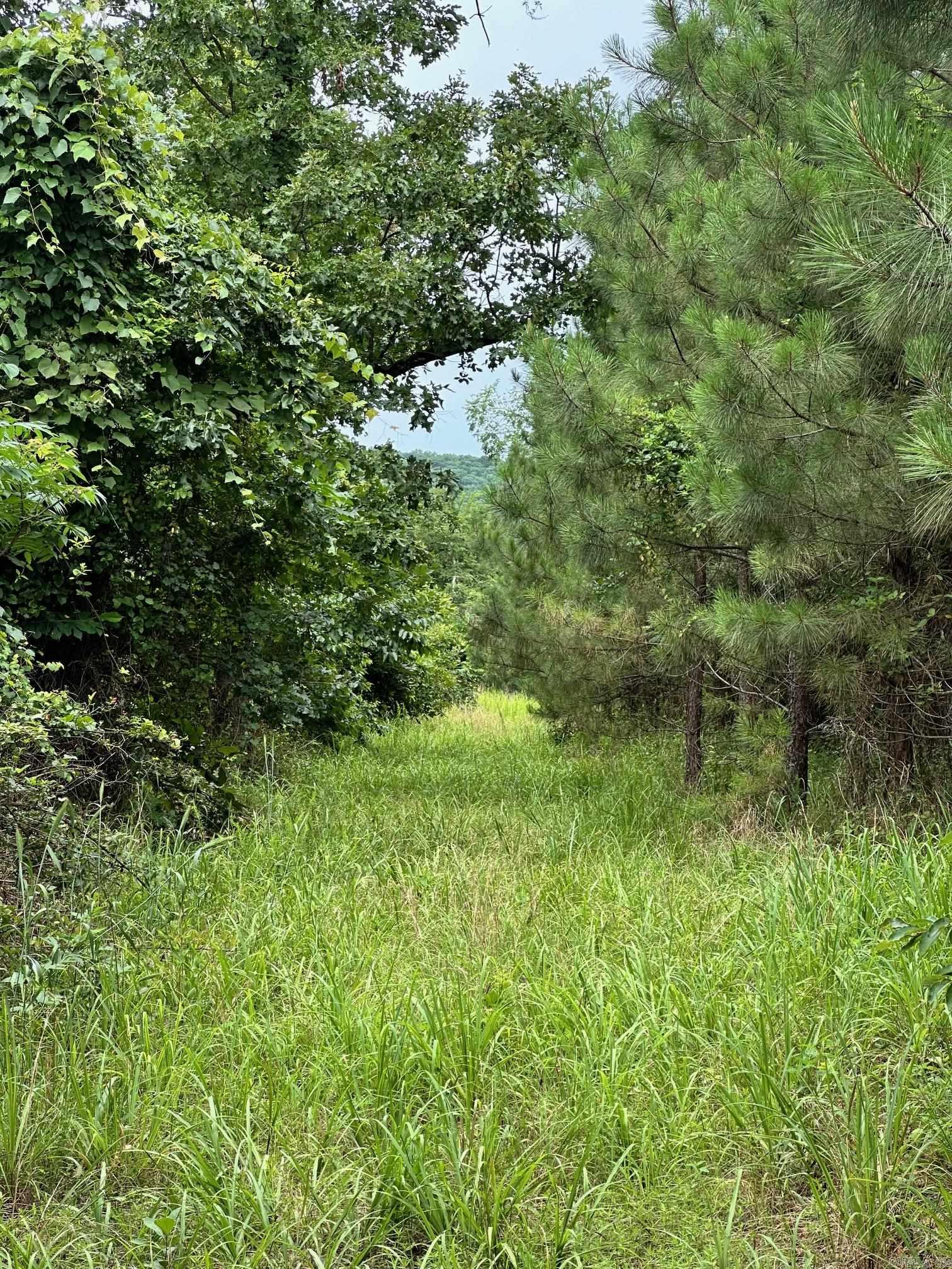 00 Caglesville  Russellville, AR