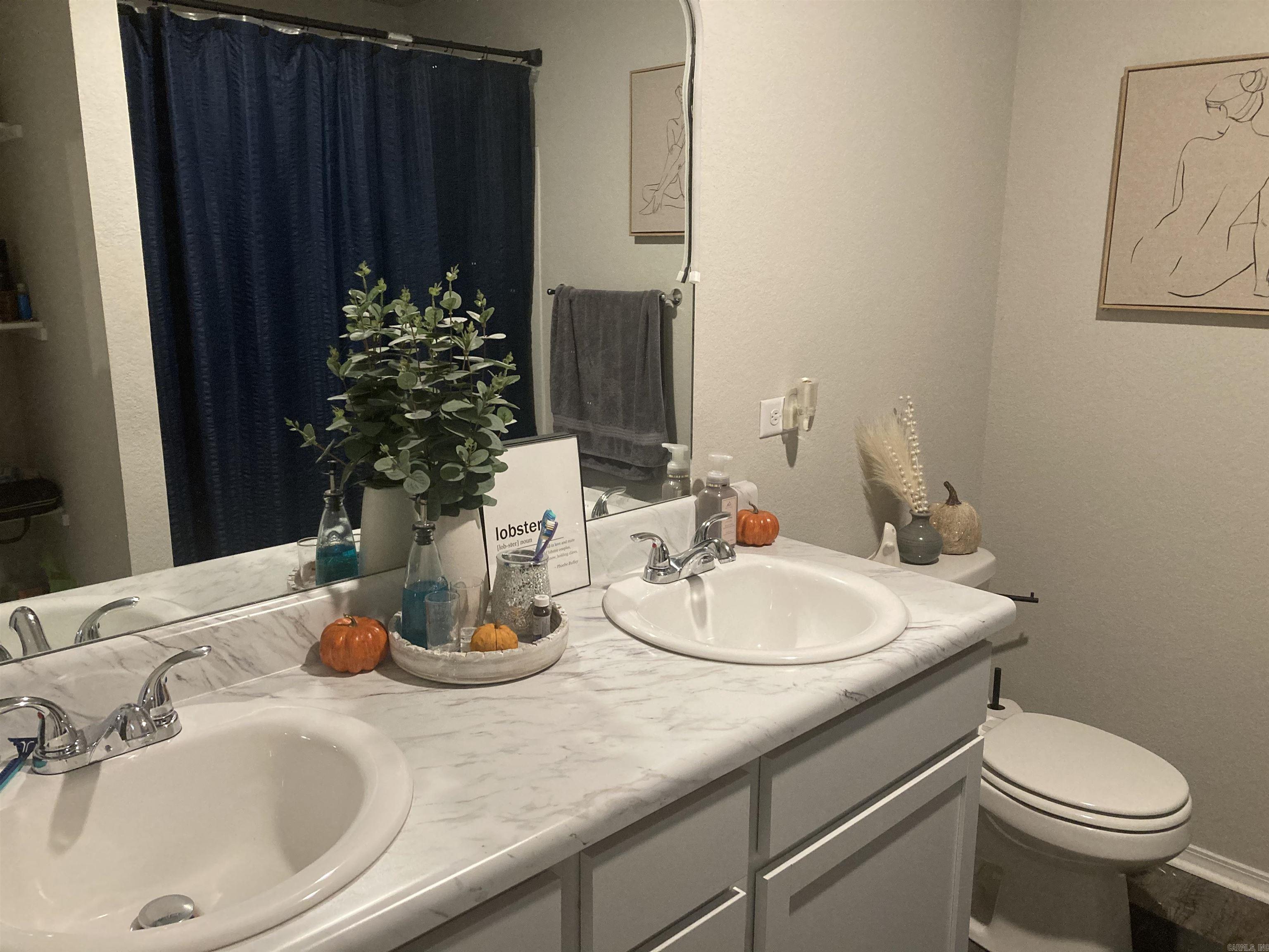 26 Sun Drenched  Conway, AR