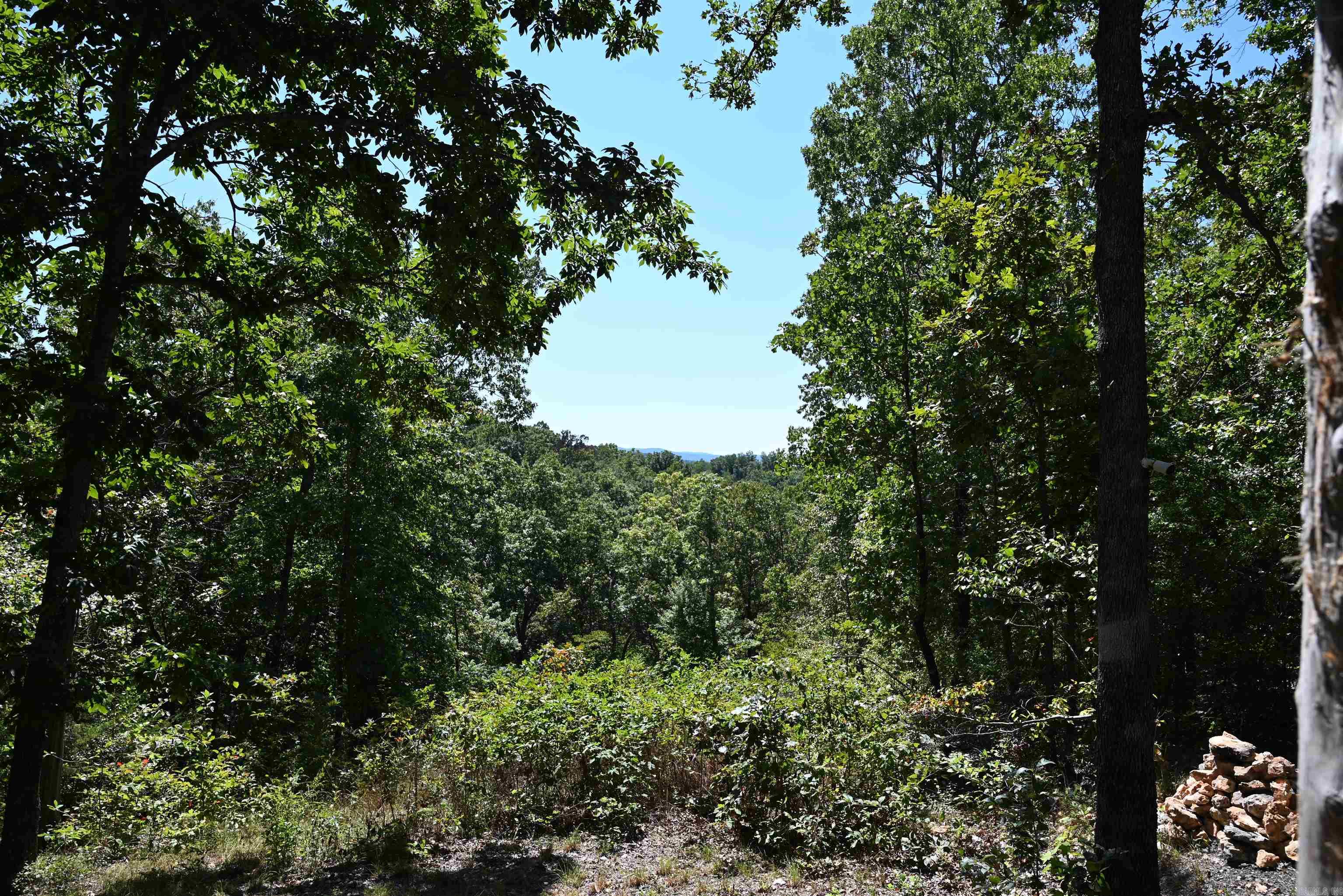 320 Fallen Tree  Marshall, AR