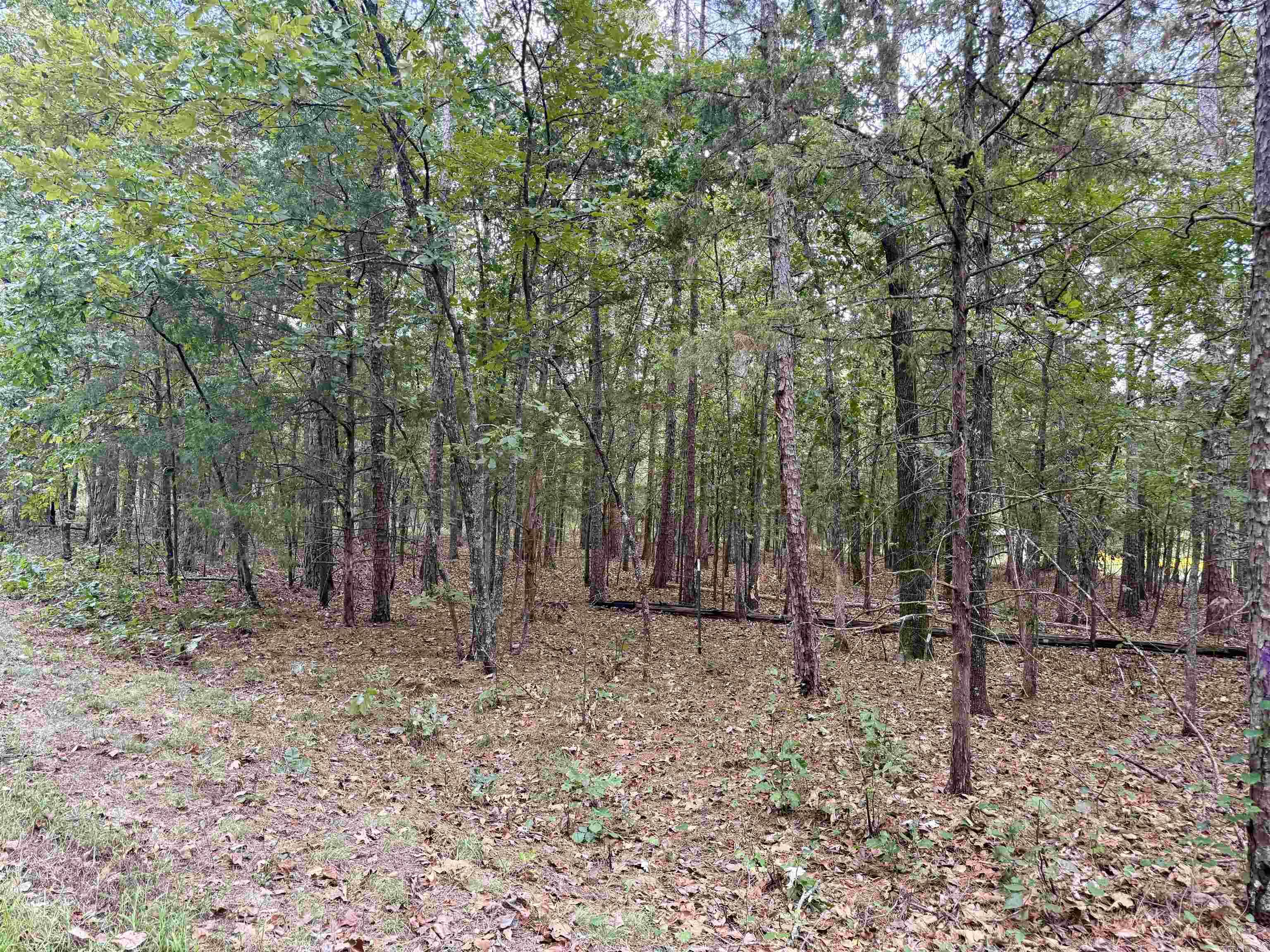 Lot 5 & 6 Ellen  Higden, AR