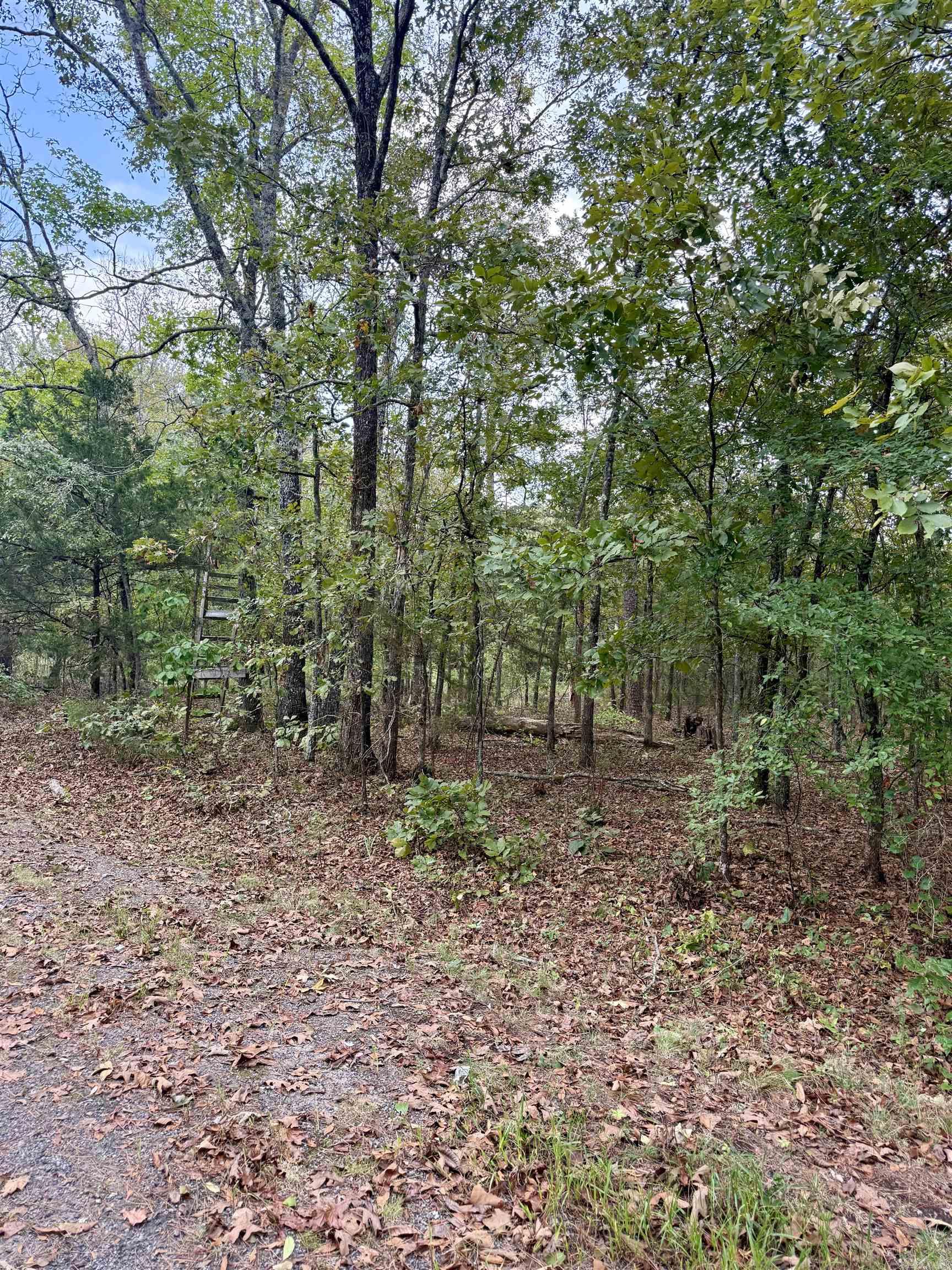 Lot 5 & 6 Ellen  Higden, AR