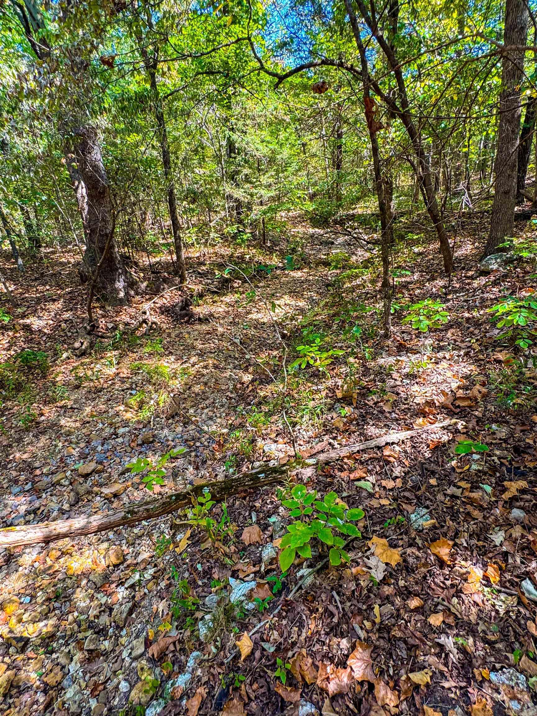 TBD Red Fox Rd  Hardy, AR