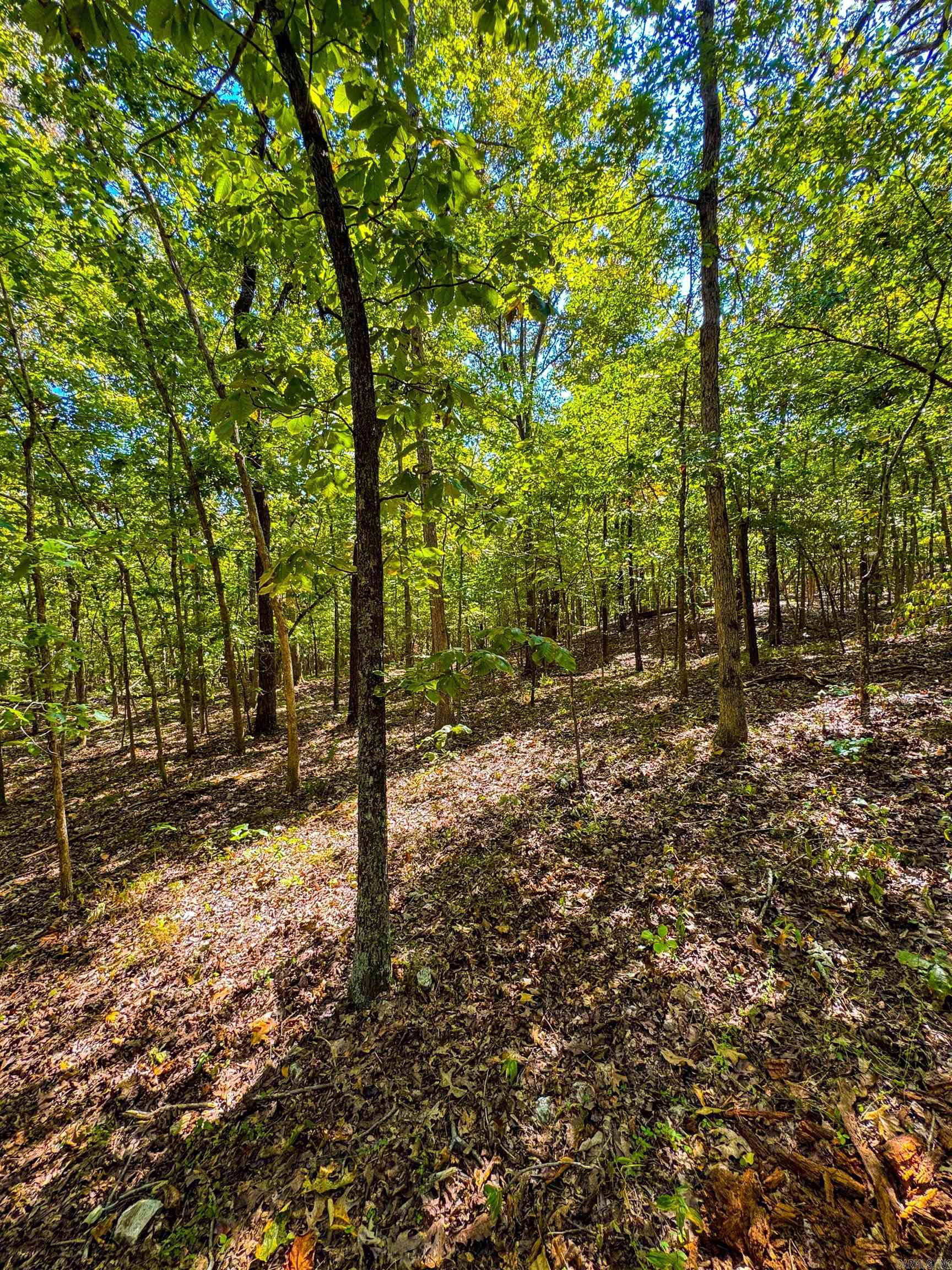 TBD Red Fox Rd  Hardy, AR