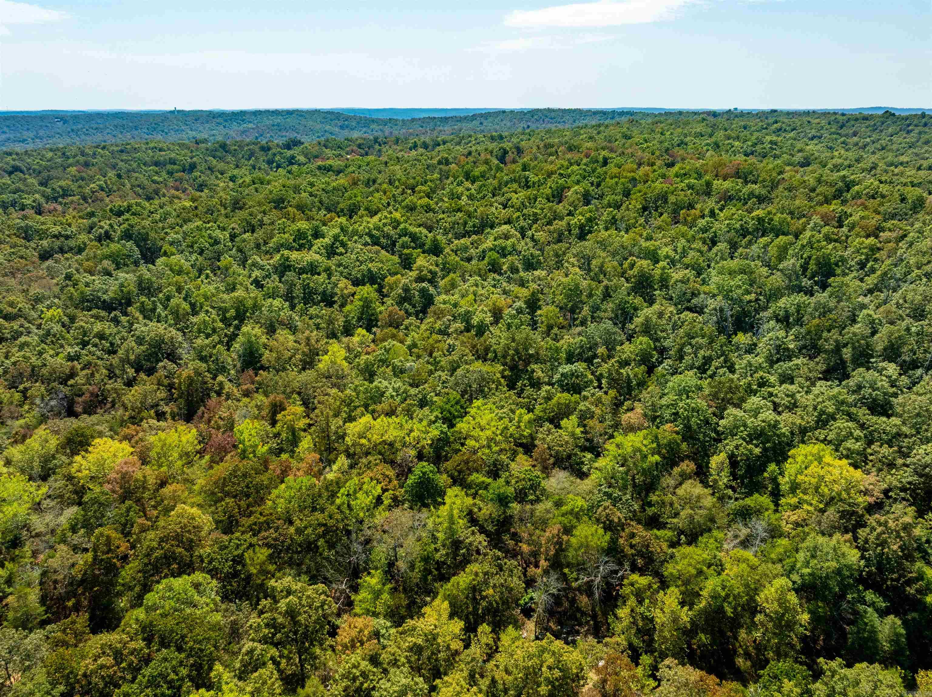 TBD Red Fox Rd  Hardy, AR