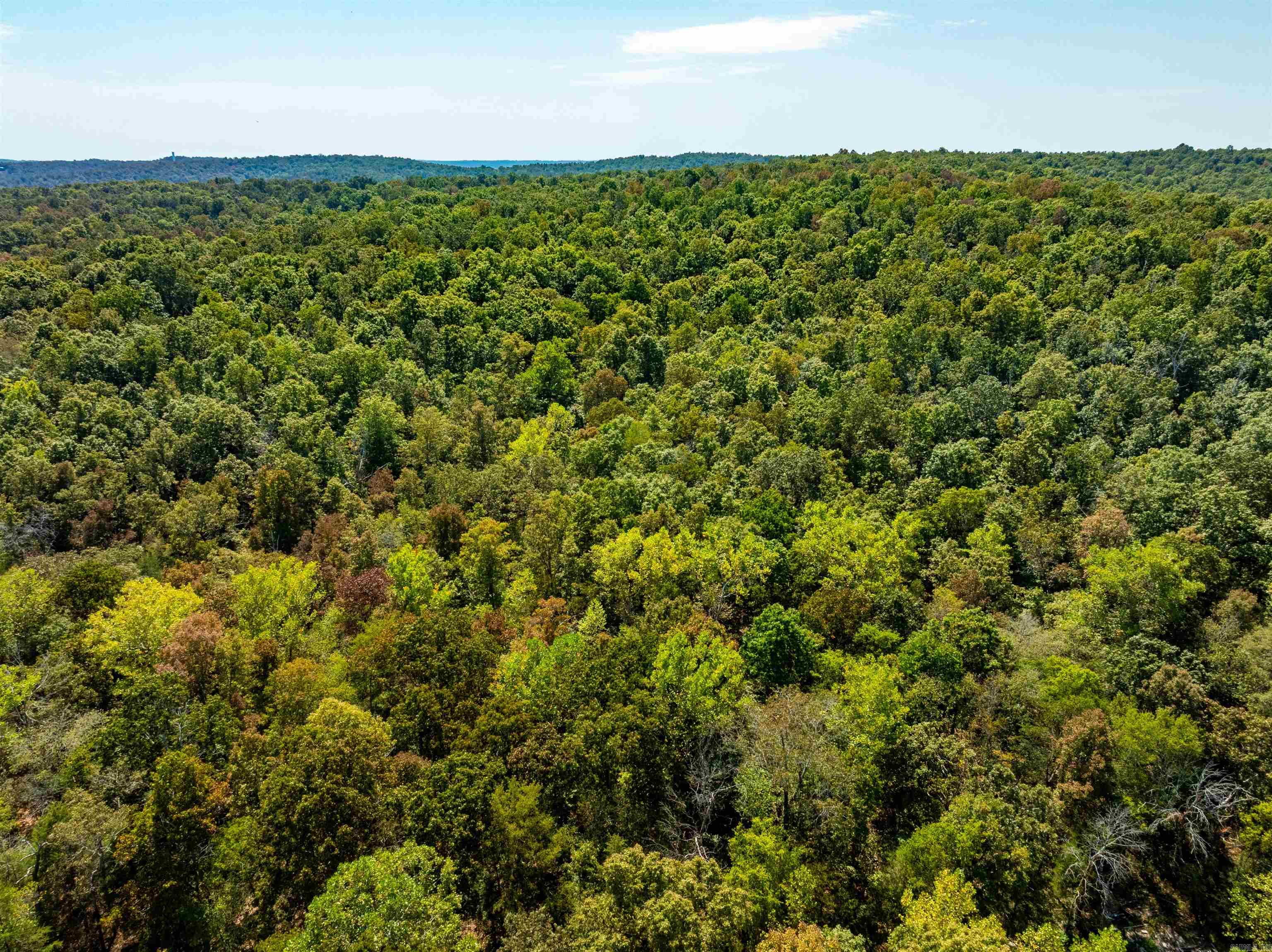TBD Red Fox Rd  Hardy, AR