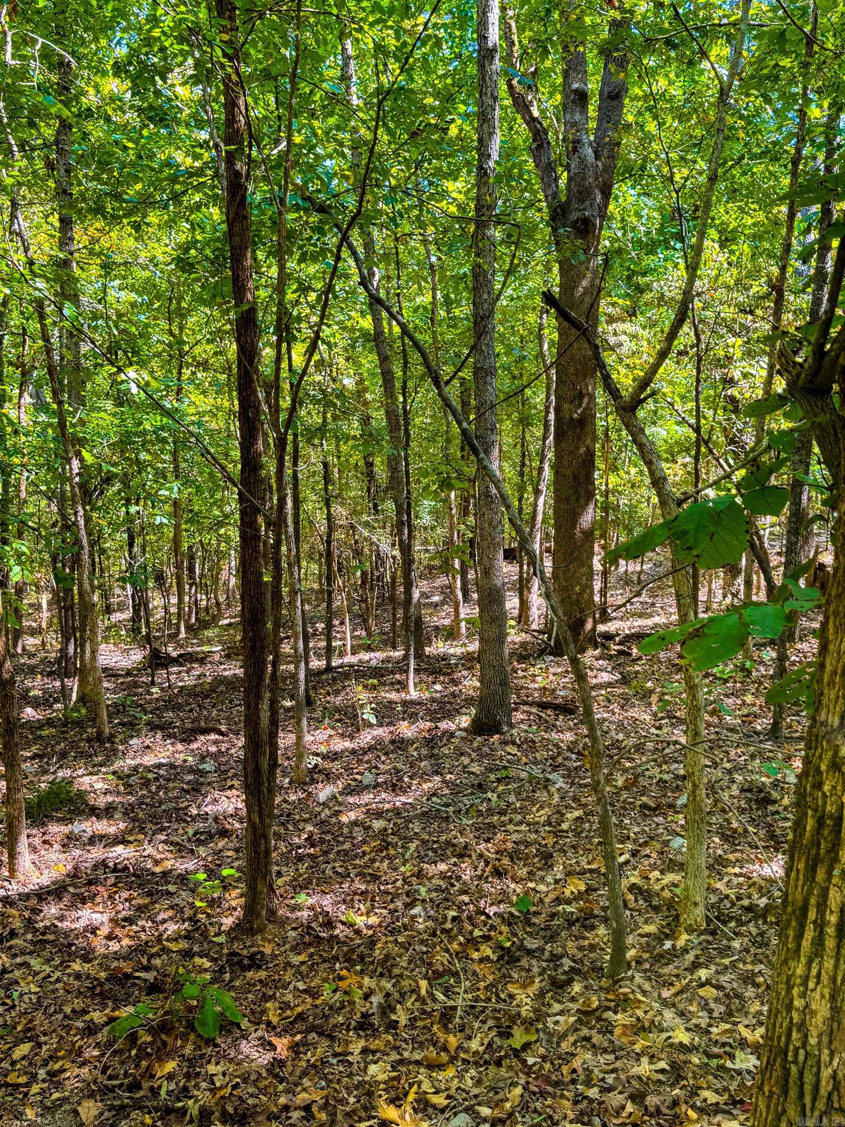 TBD Red Fox Rd  Hardy, AR