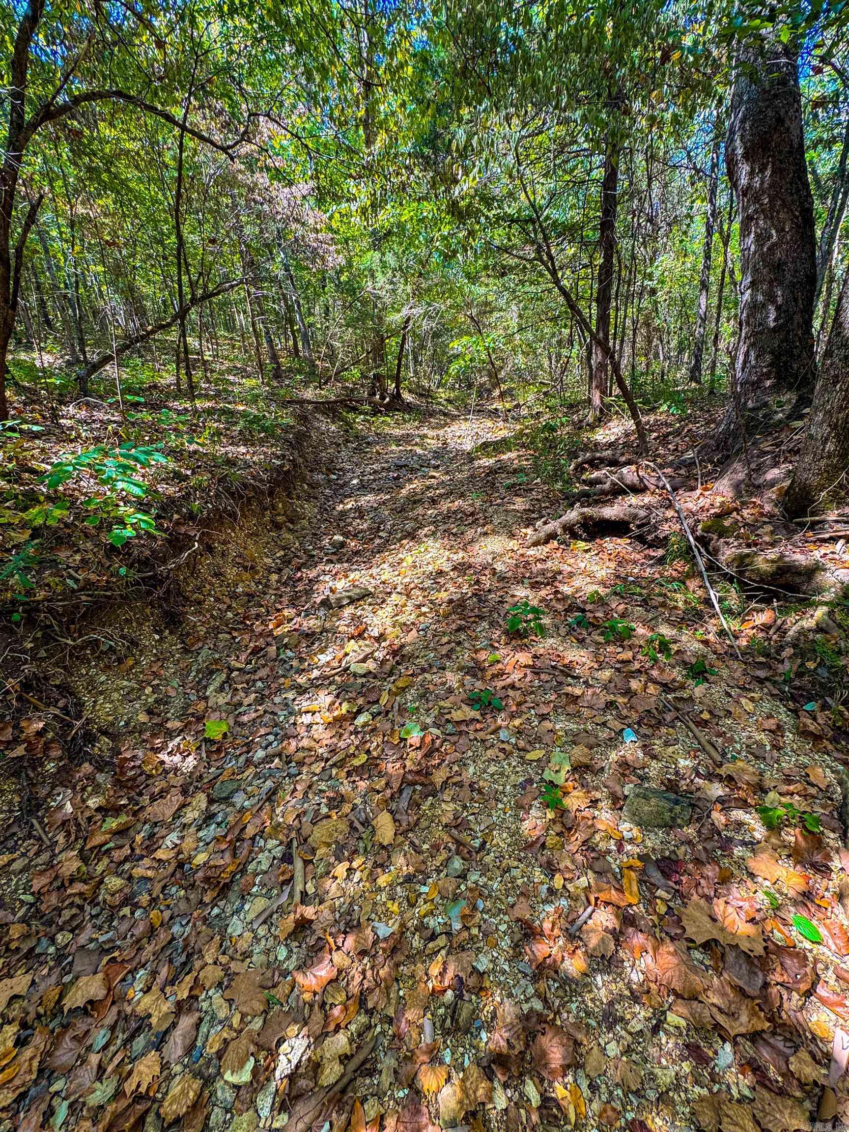 TBD Red Fox Rd  Hardy, AR