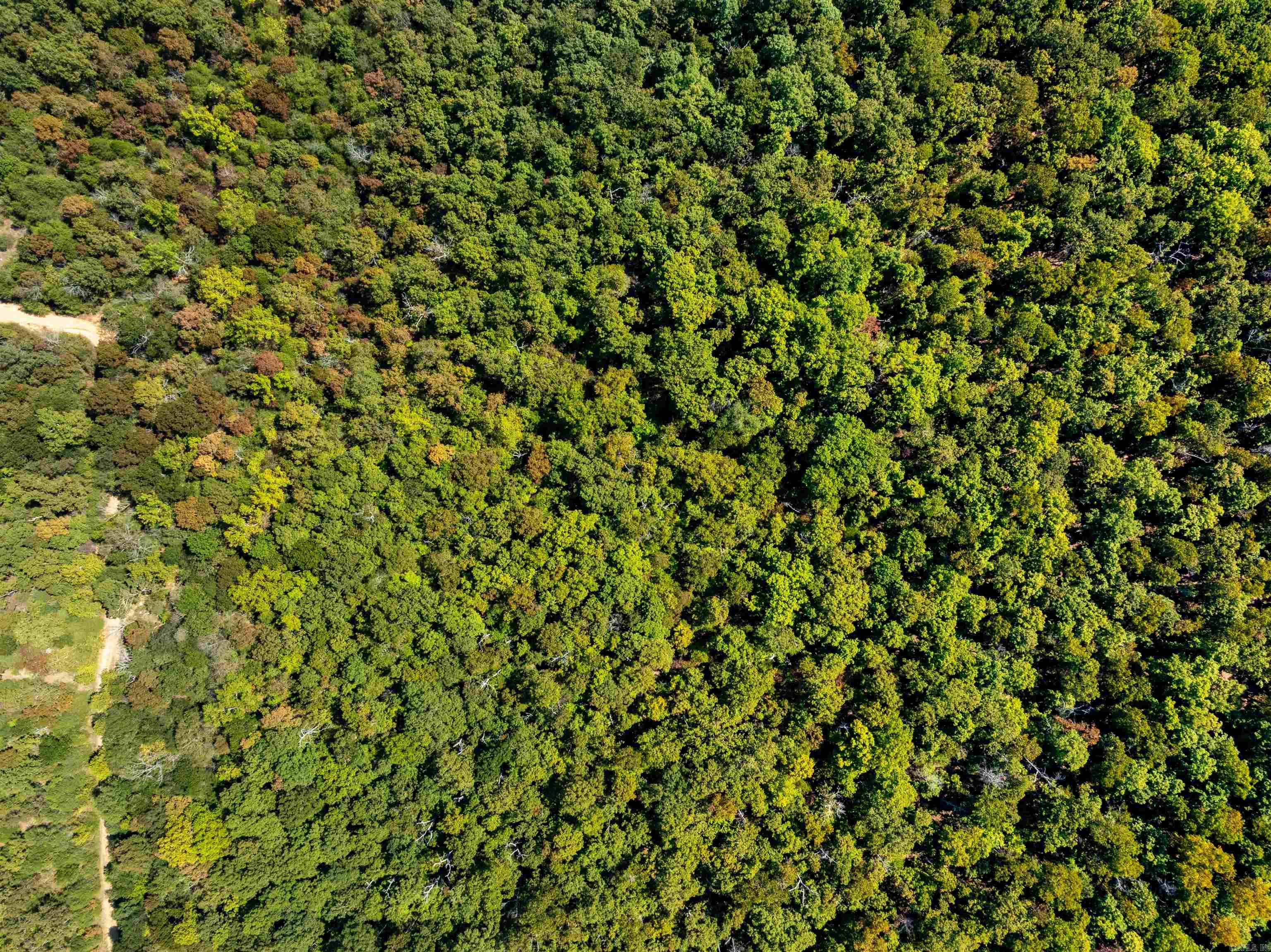 TBD Red Fox Rd  Hardy, AR