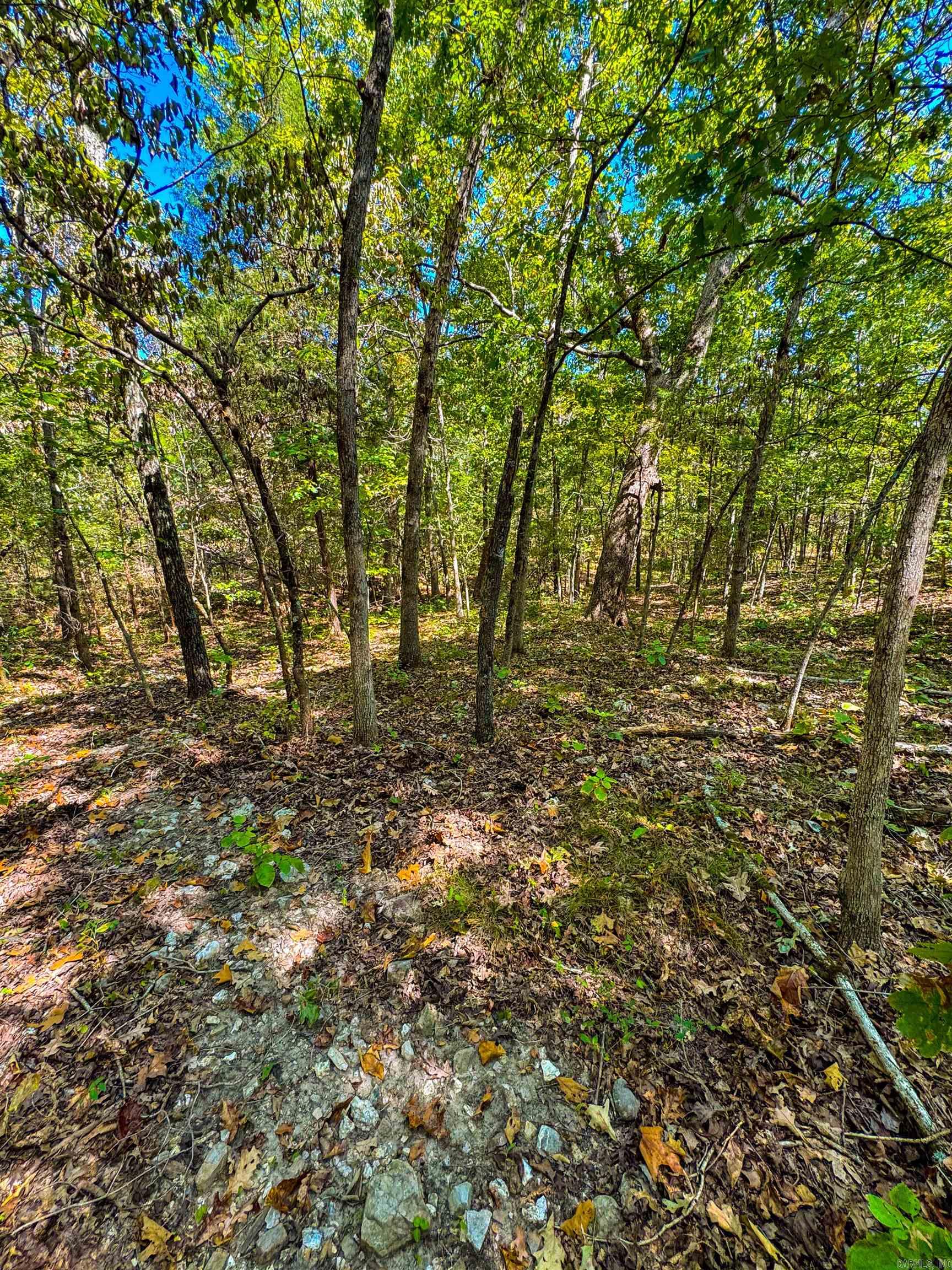 TBD Red Fox Rd  Hardy, AR