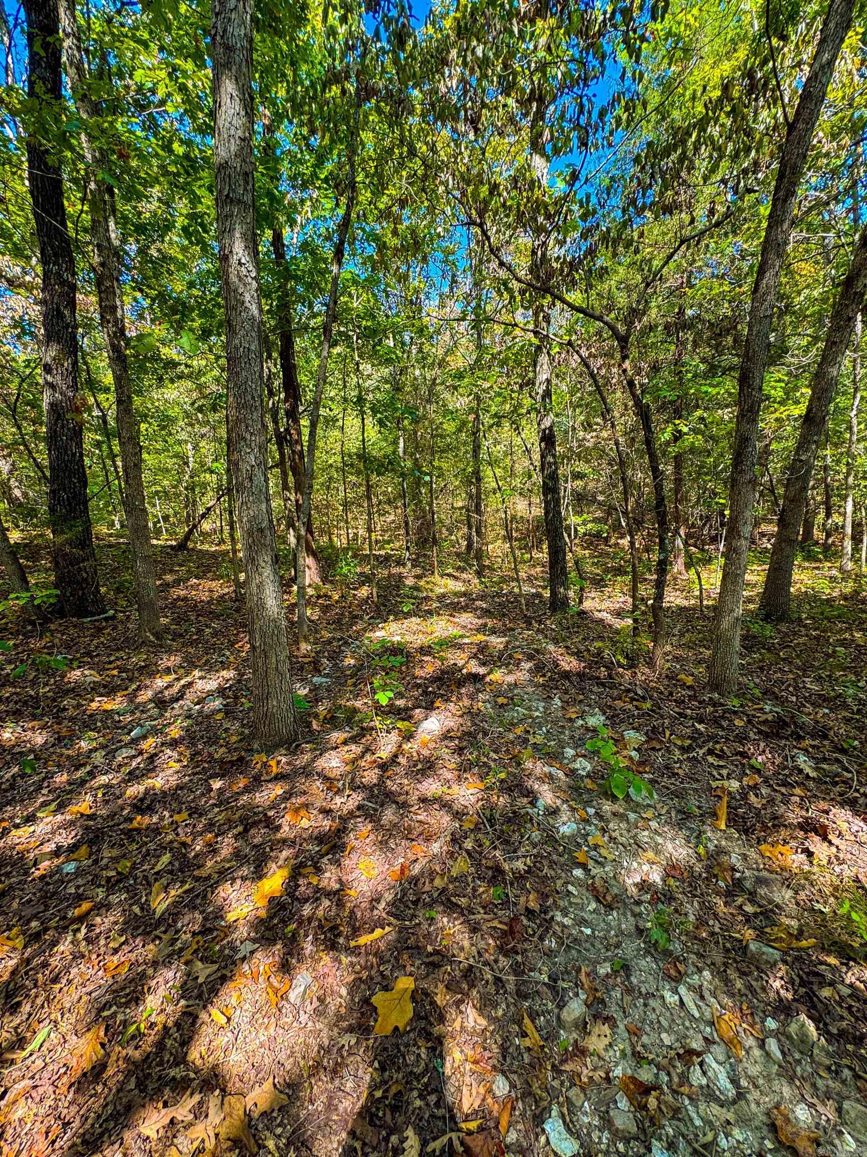 TBD Red Fox Rd  Hardy, AR