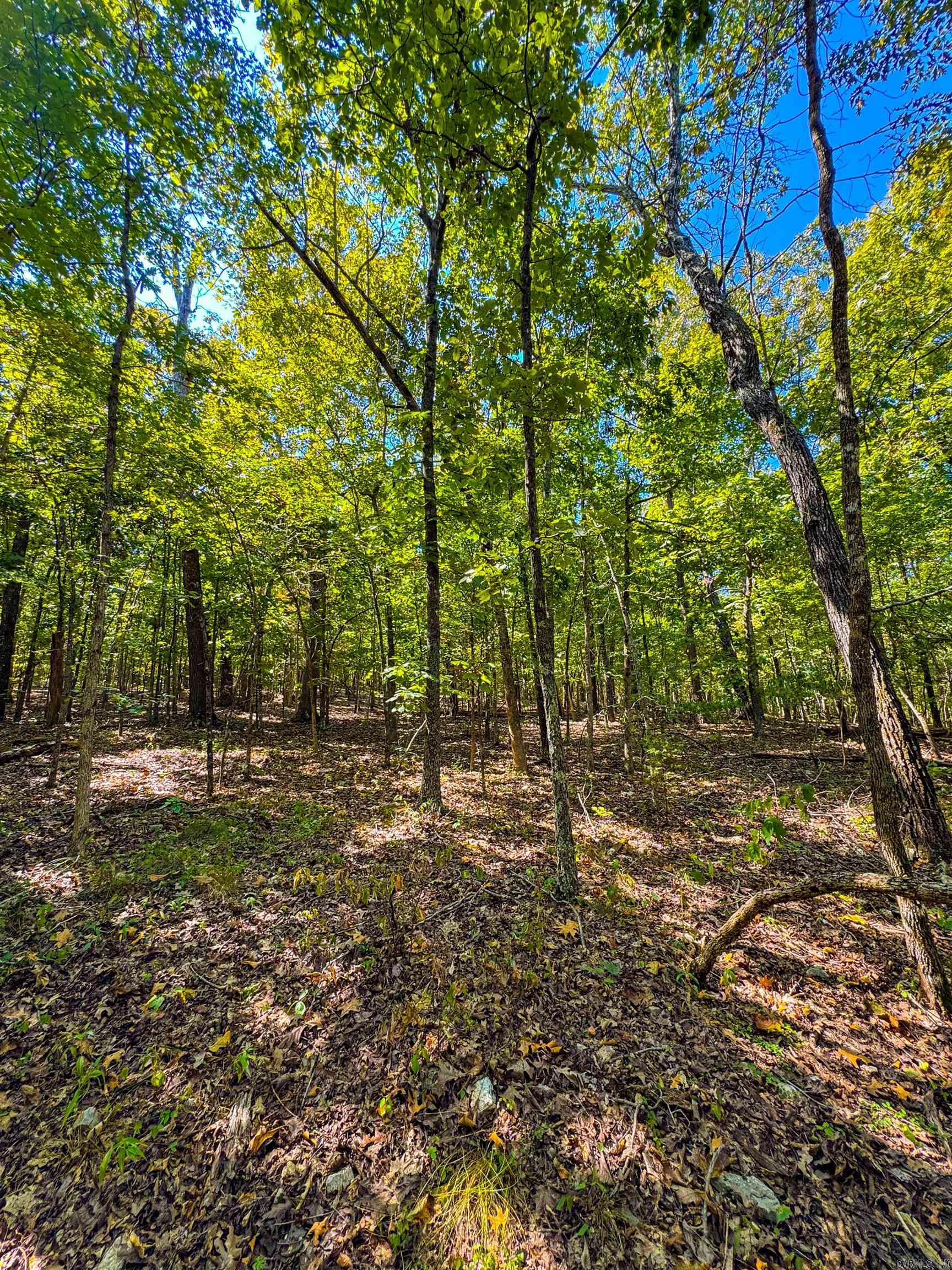 TBD Red Fox Rd  Hardy, AR