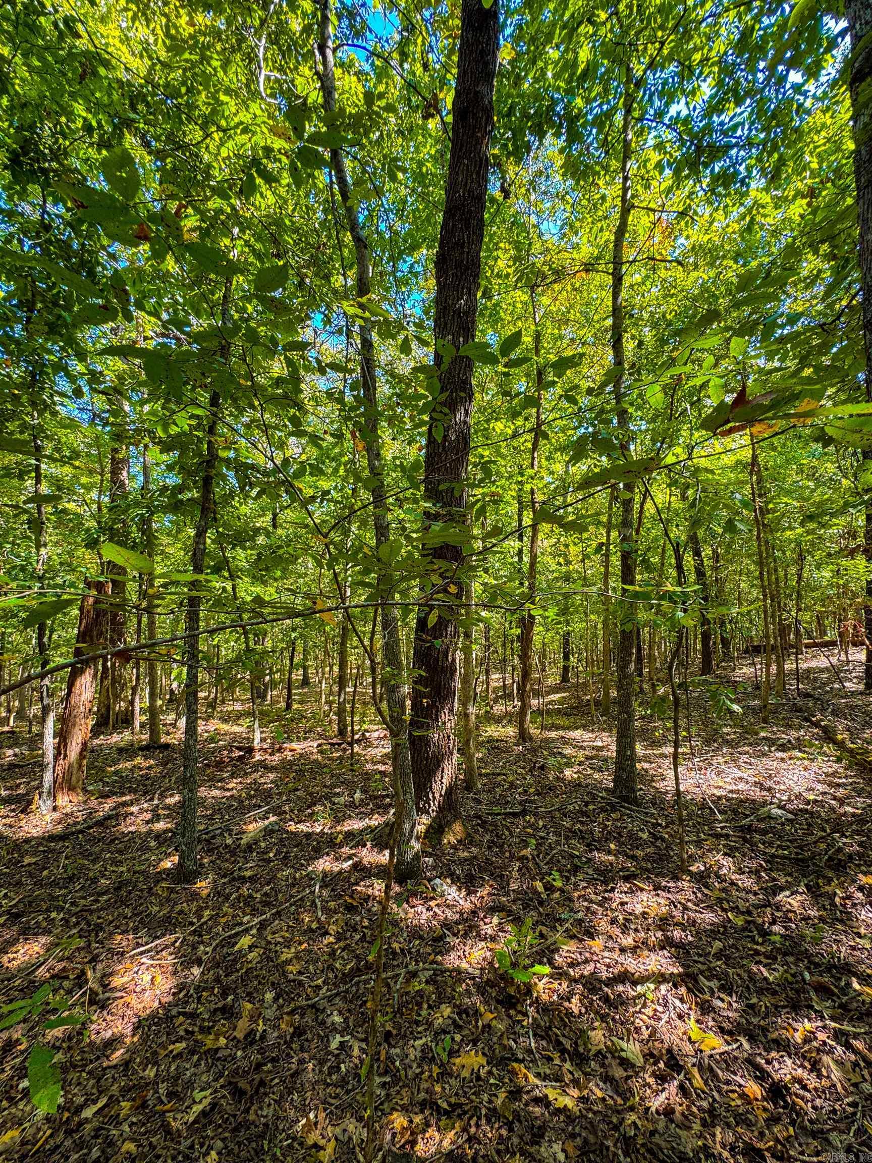 TBD Red Fox Rd  Hardy, AR