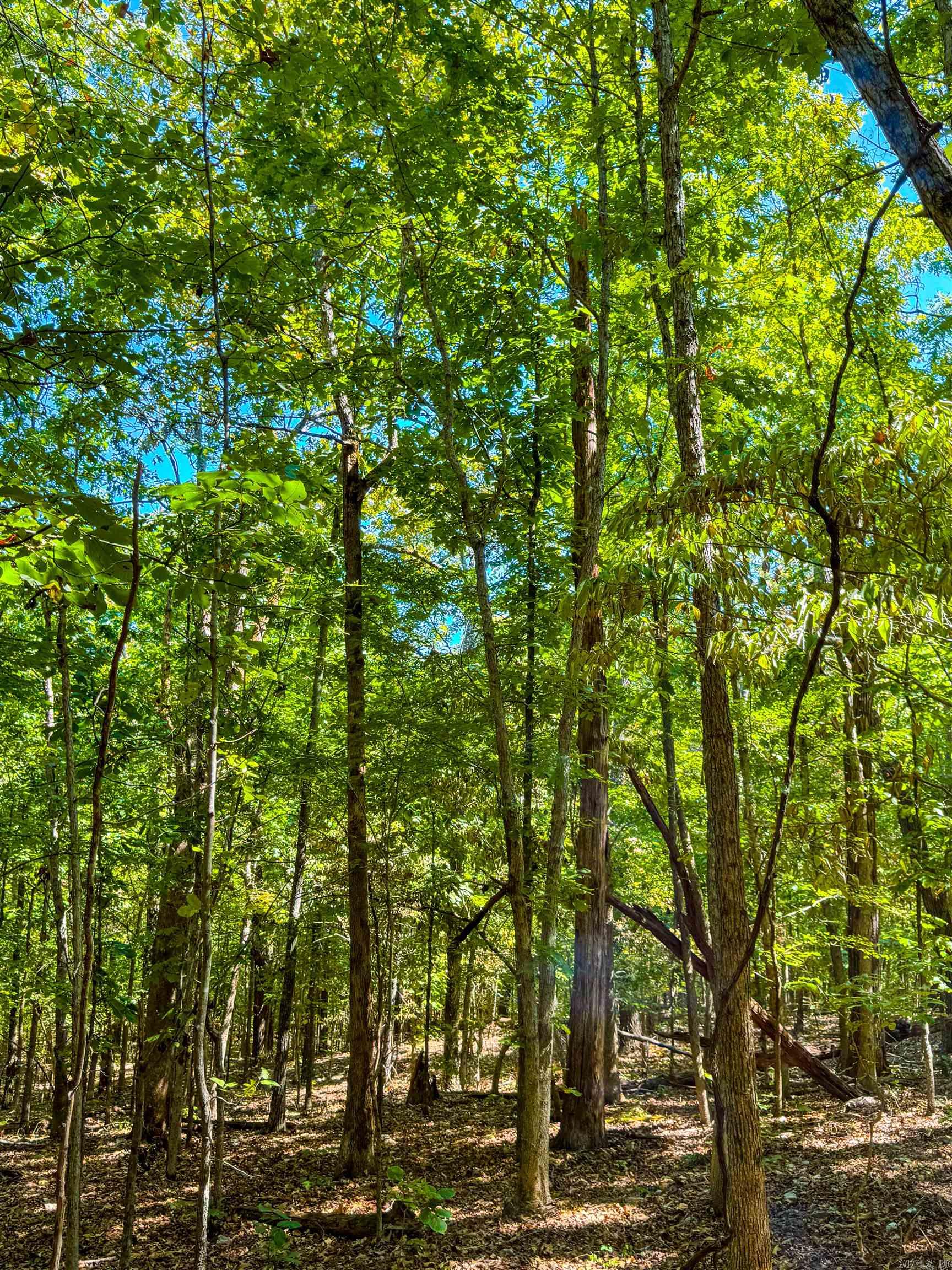 TBD Red Fox Rd  Hardy, AR