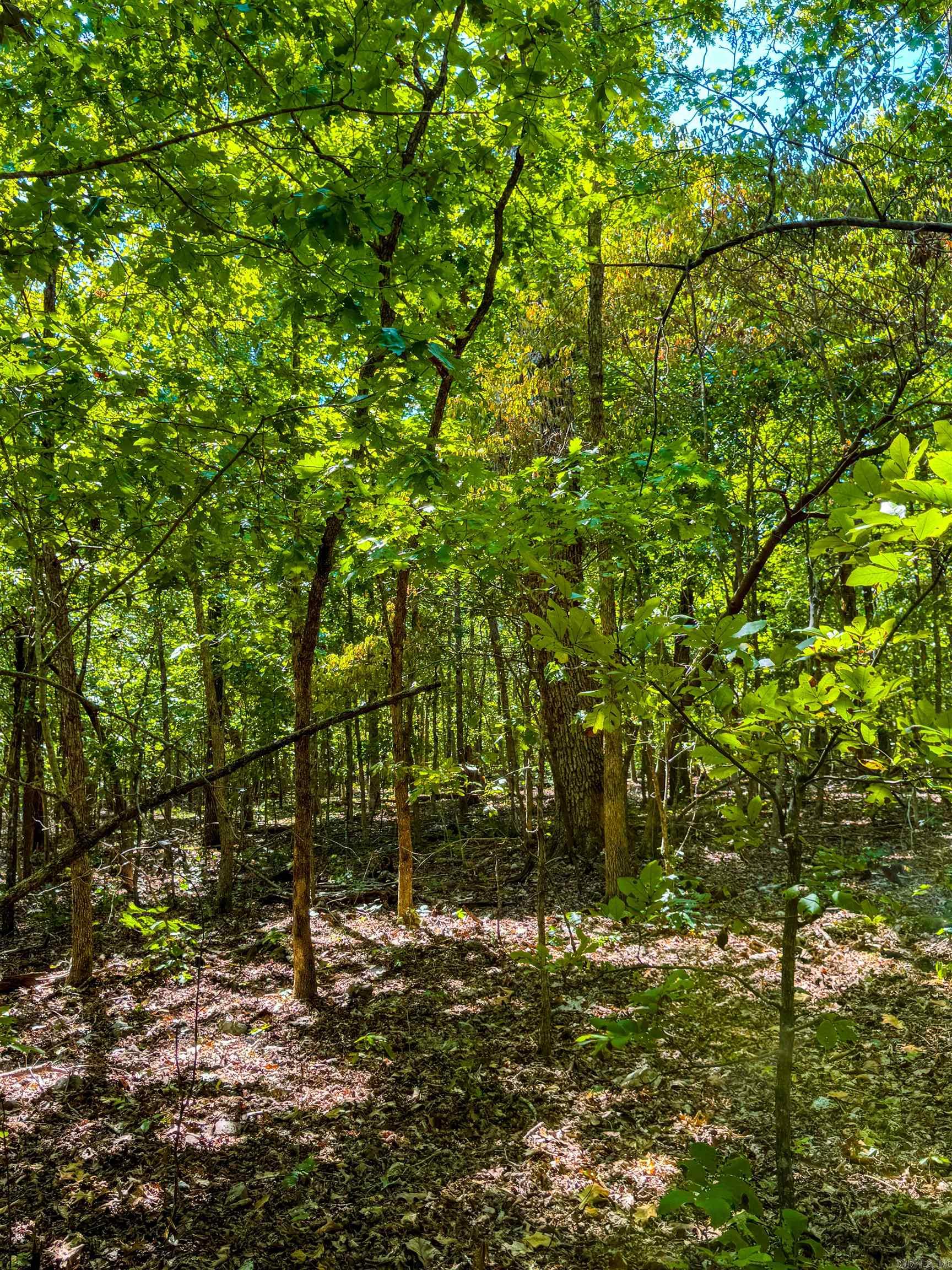 TBD Red Fox Rd  Hardy, AR