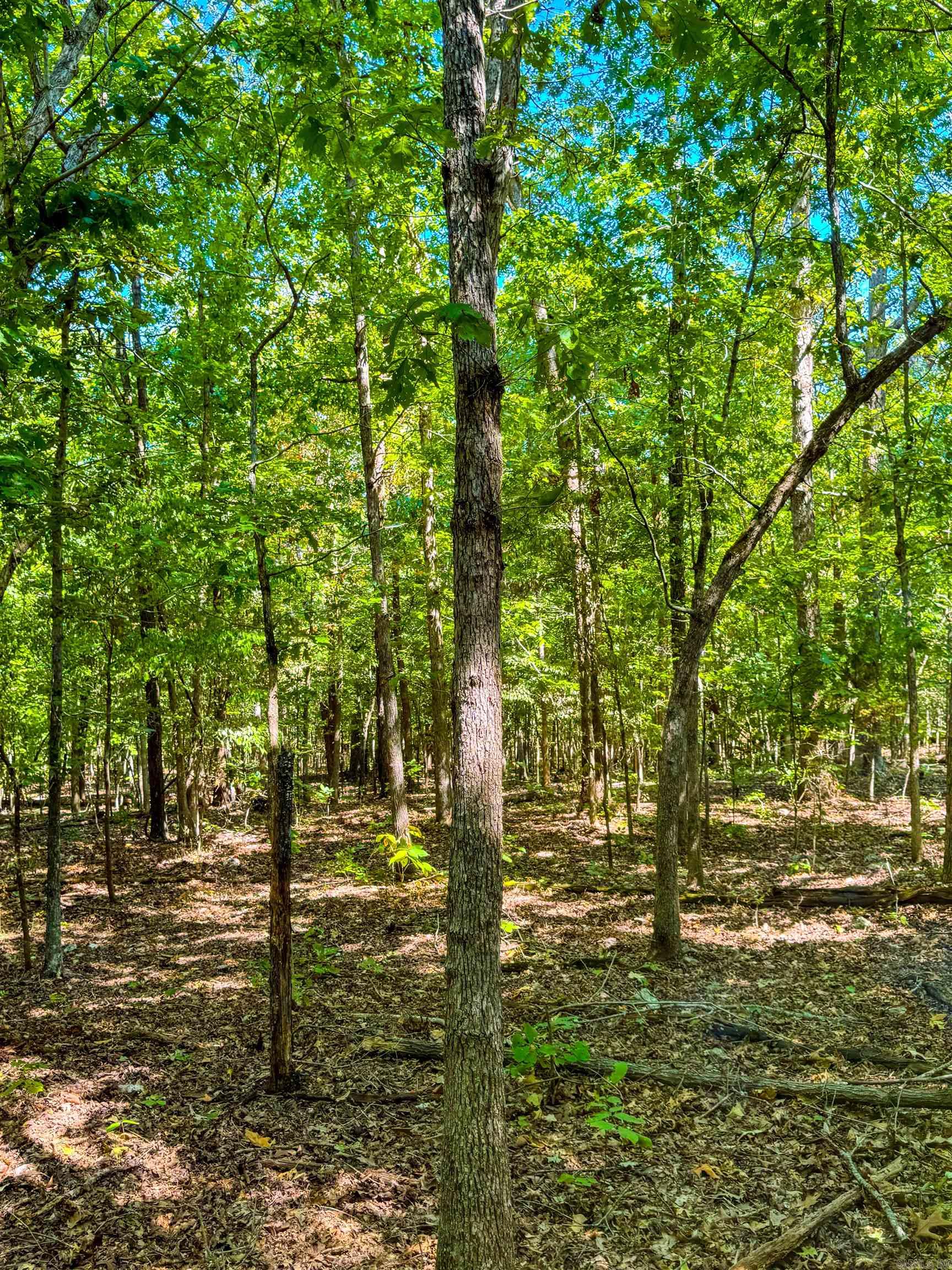 TBD Red Fox Rd  Hardy, AR