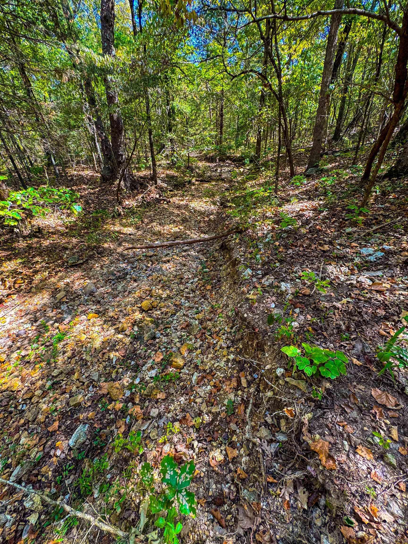 TBD Red Fox Rd  Hardy, AR