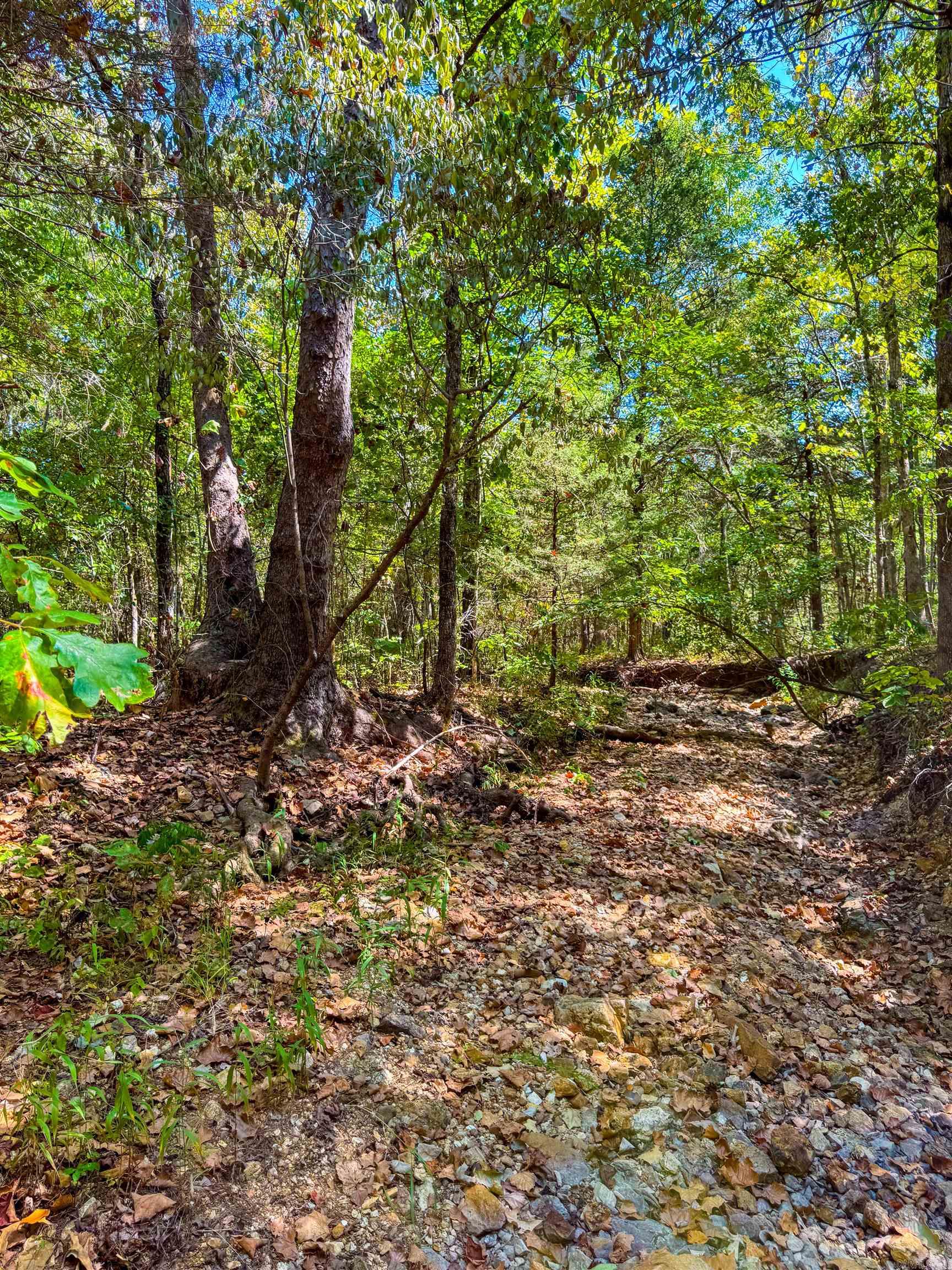 TBD Red Fox Rd  Hardy, AR