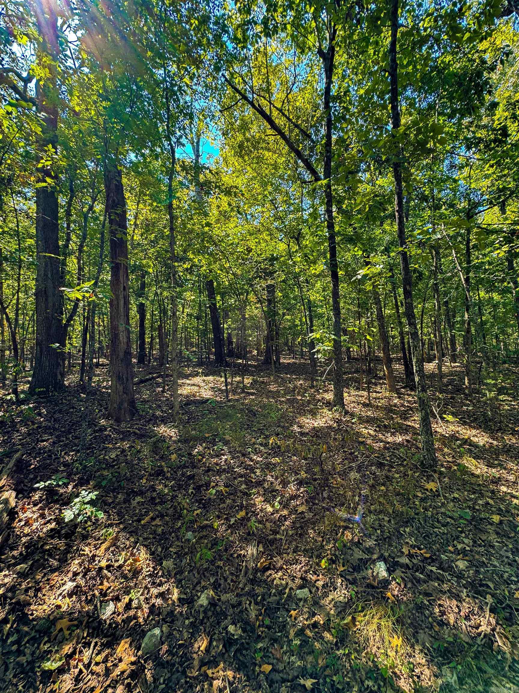 TBD Red Fox Rd  Hardy, AR